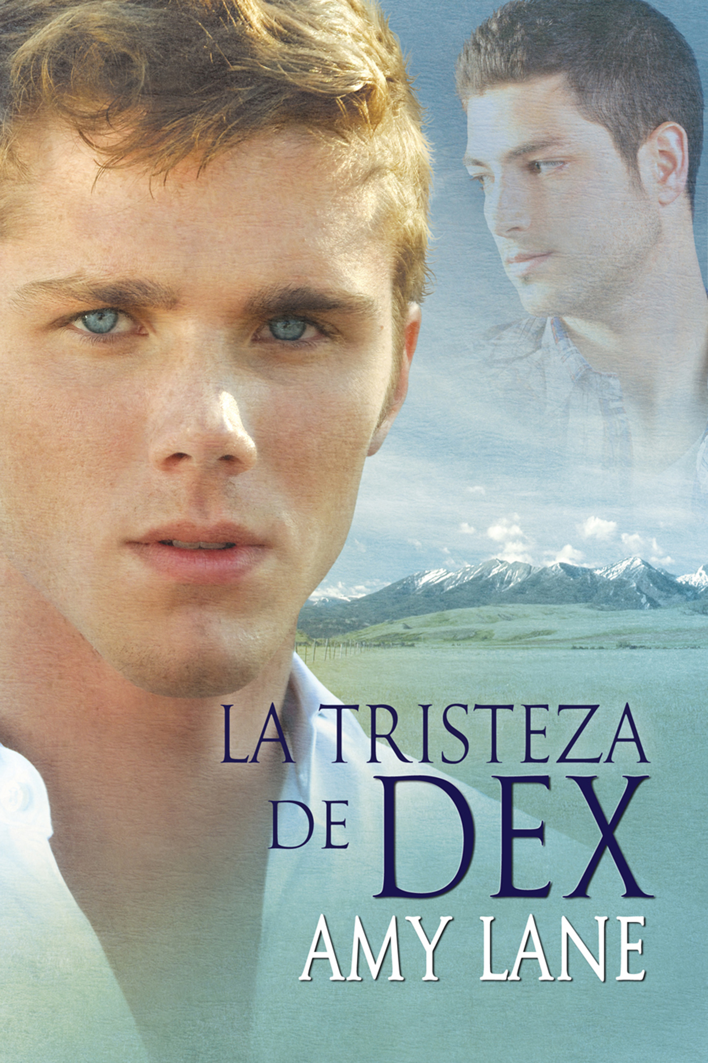 This image is the cover for the book La tristeza de Dex, Johnnies (Español)