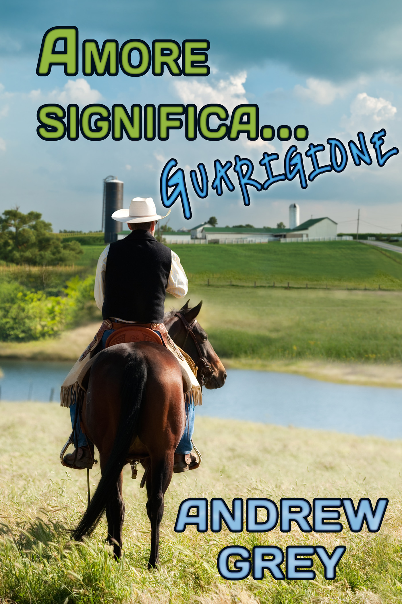 This image is the cover for the book Amore significa… guarigione, Serie Amore Significa…