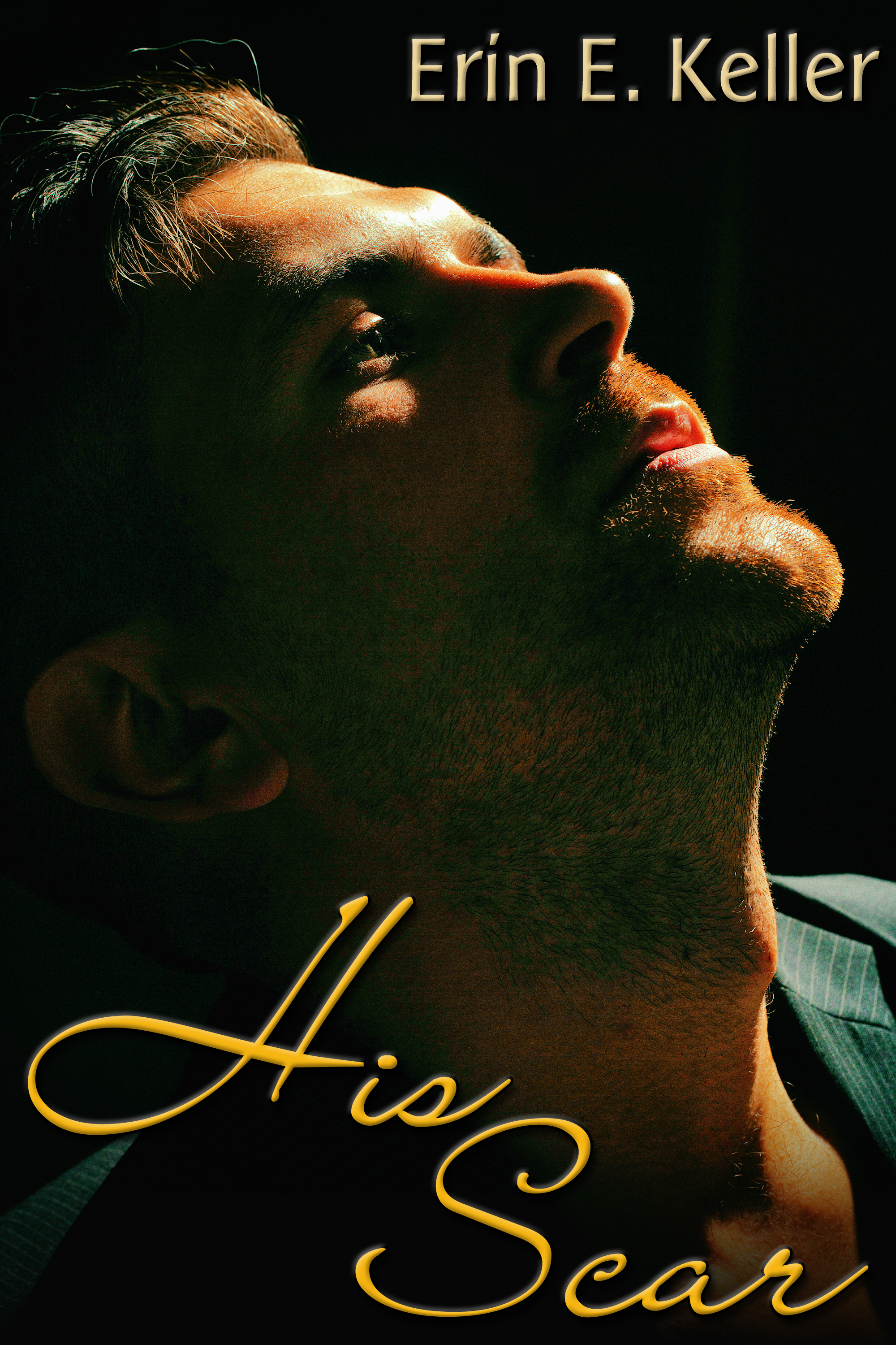 This image is the cover for the book His Scar