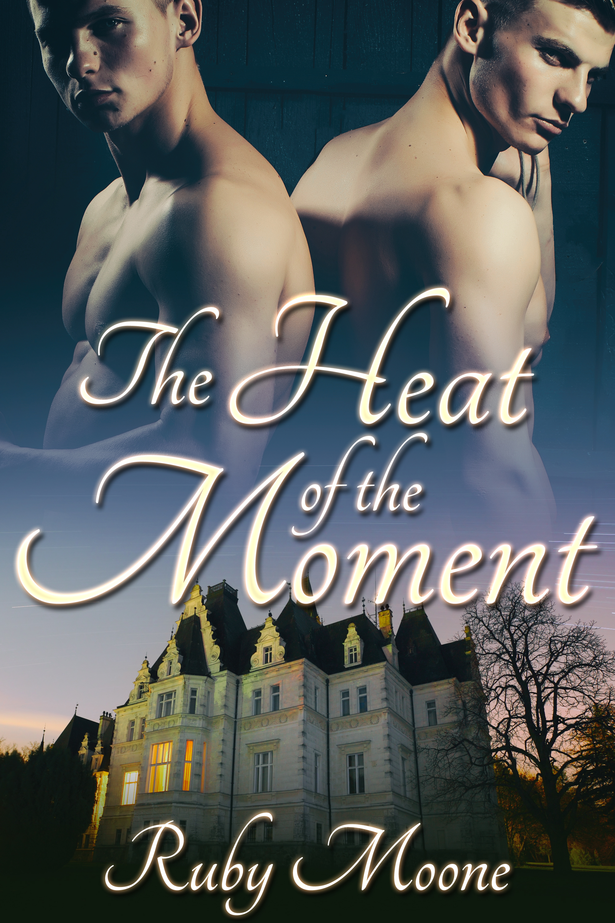 This image is the cover for the book The Heat of the Moment