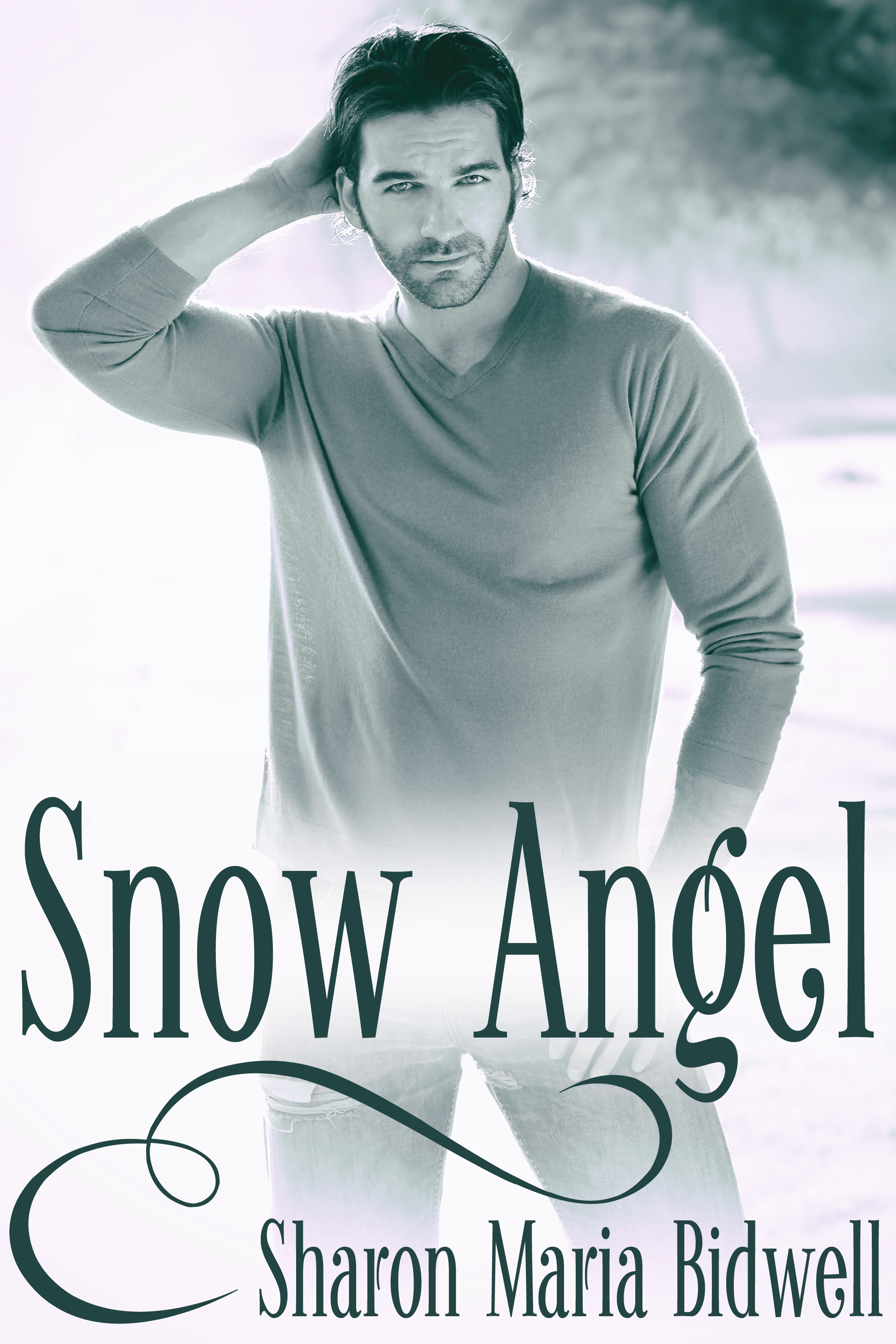 This image is the cover for the book Snow Angel, Angel