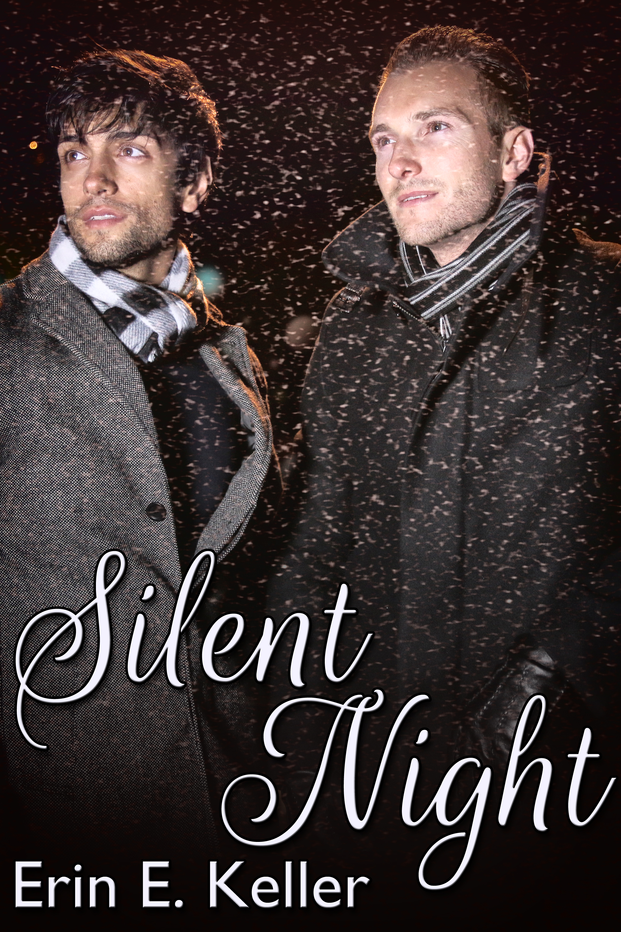 This image is the cover for the book Silent Night