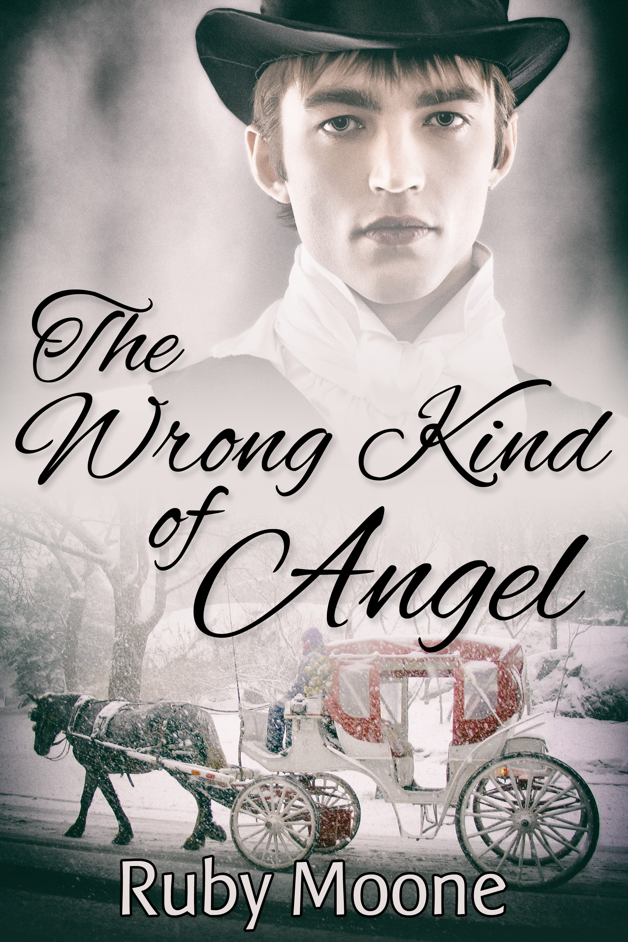 This image is the cover for the book The Wrong Kind of Angel