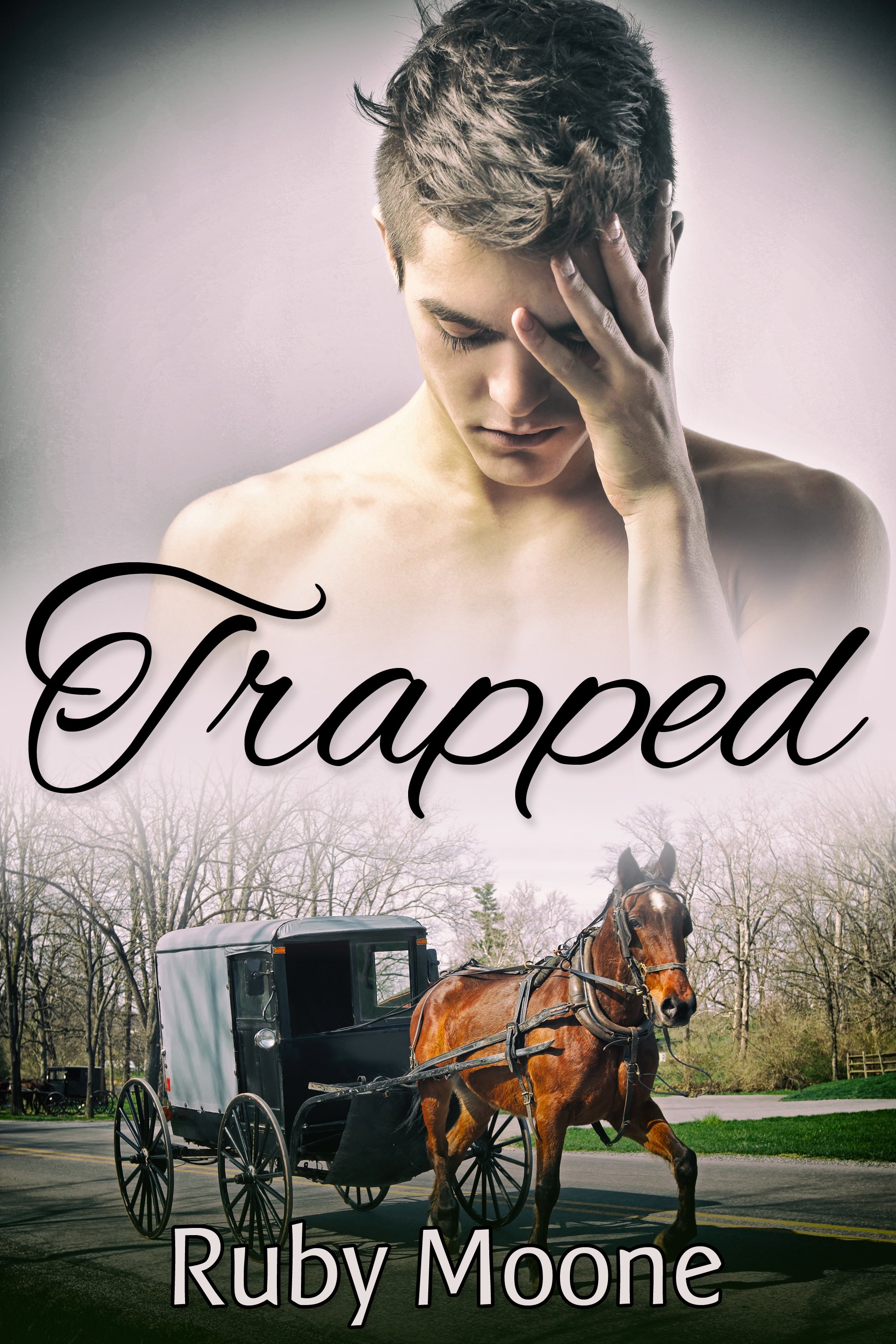 This image is the cover for the book Trapped