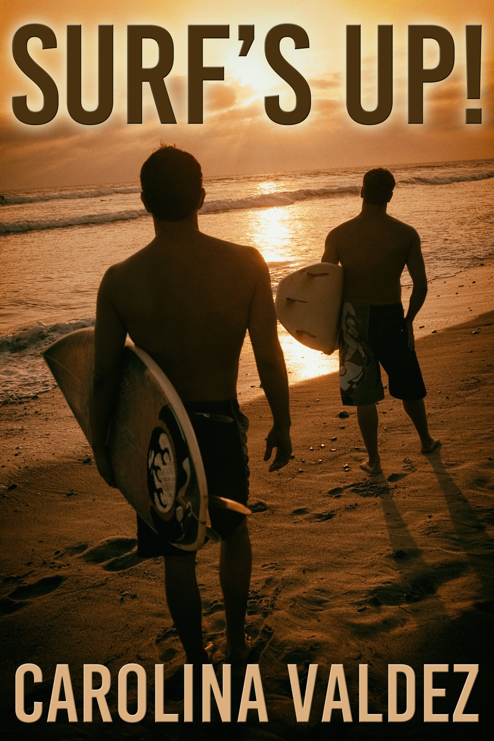 This image is the cover for the book Surf's Up