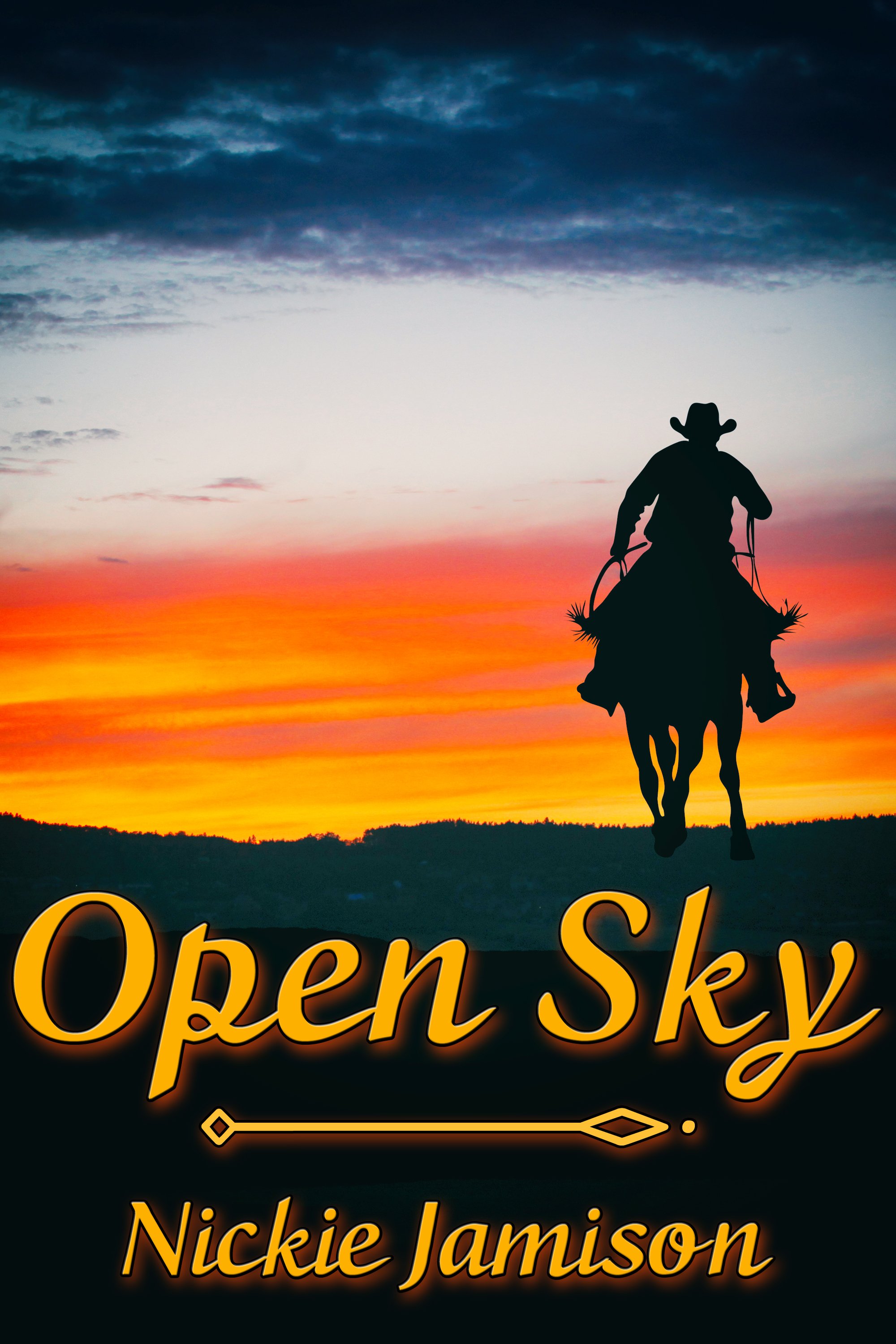 This image is the cover for the book Open Sky