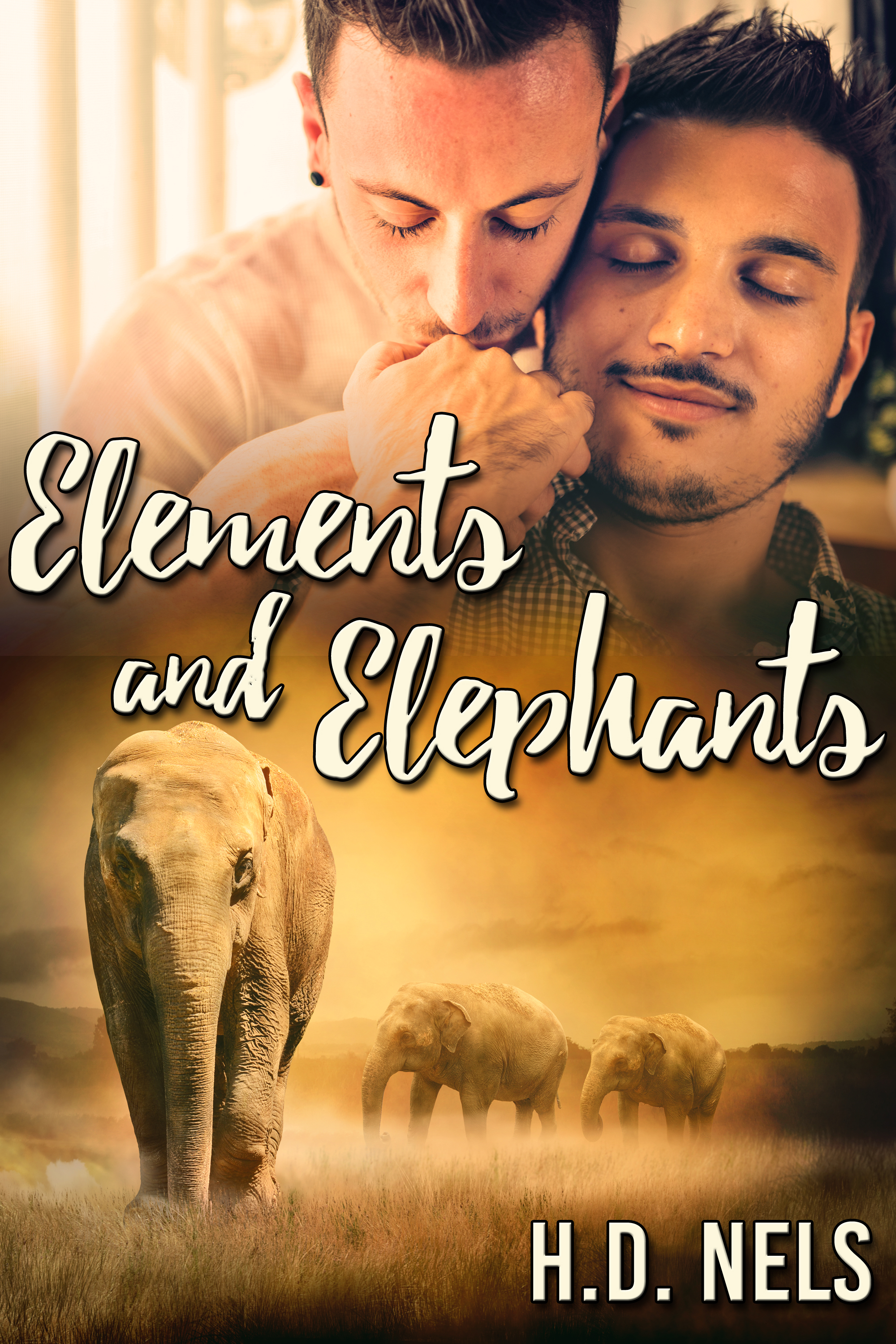 This image is the cover for the book Elements and Elephants