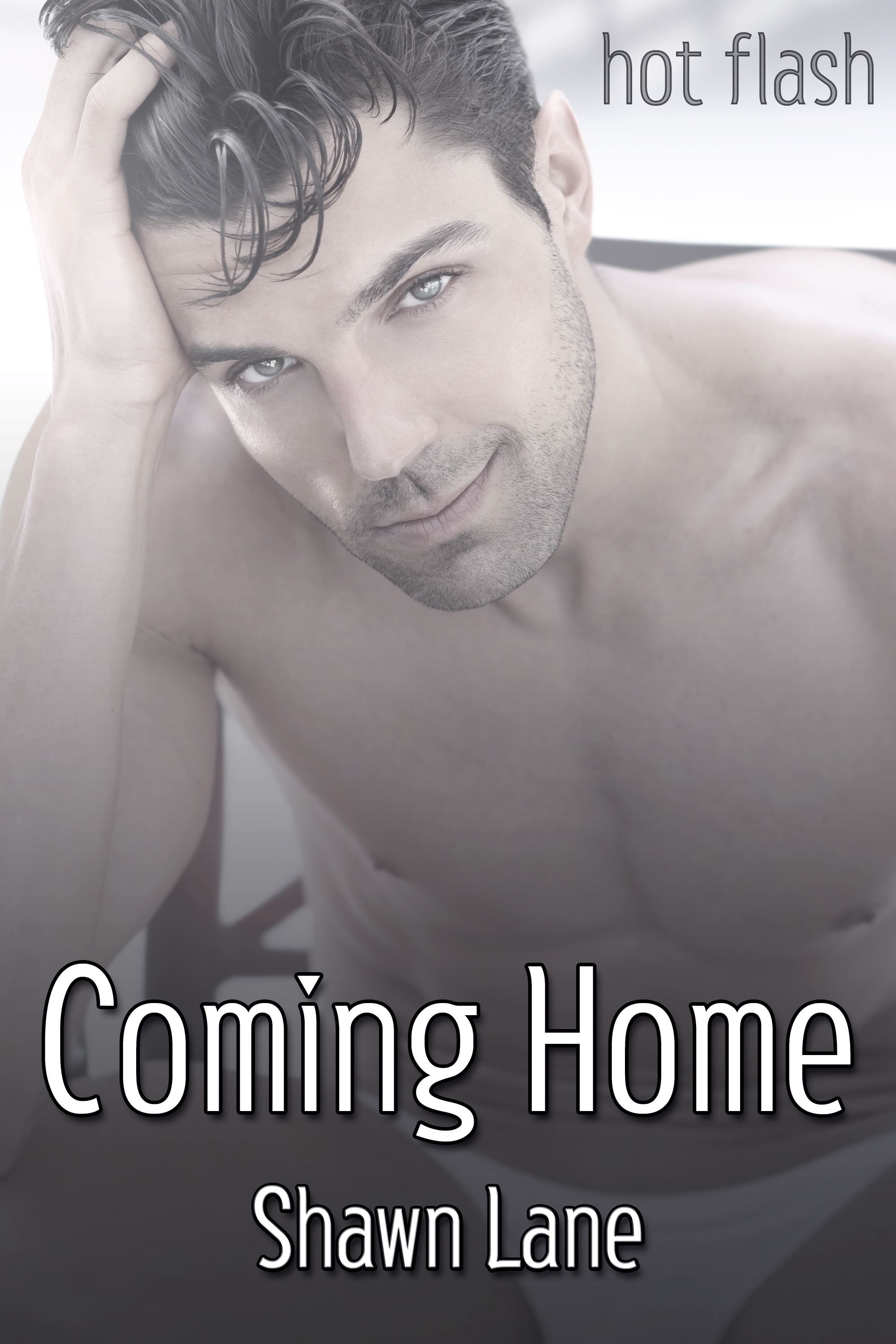 This image is the cover for the book Coming Home, Hot Flash