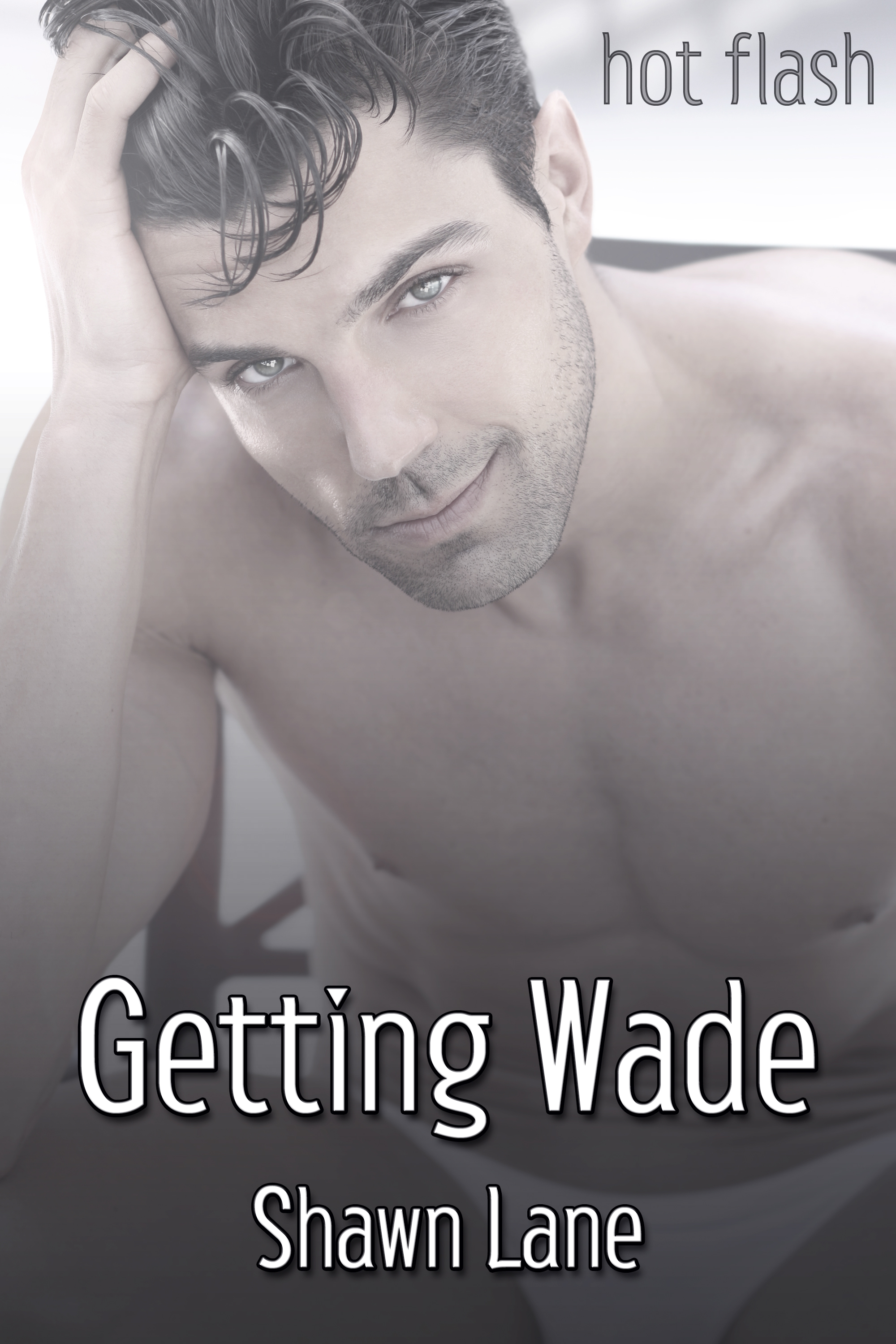 This image is the cover for the book Getting Wade, Hot Flash