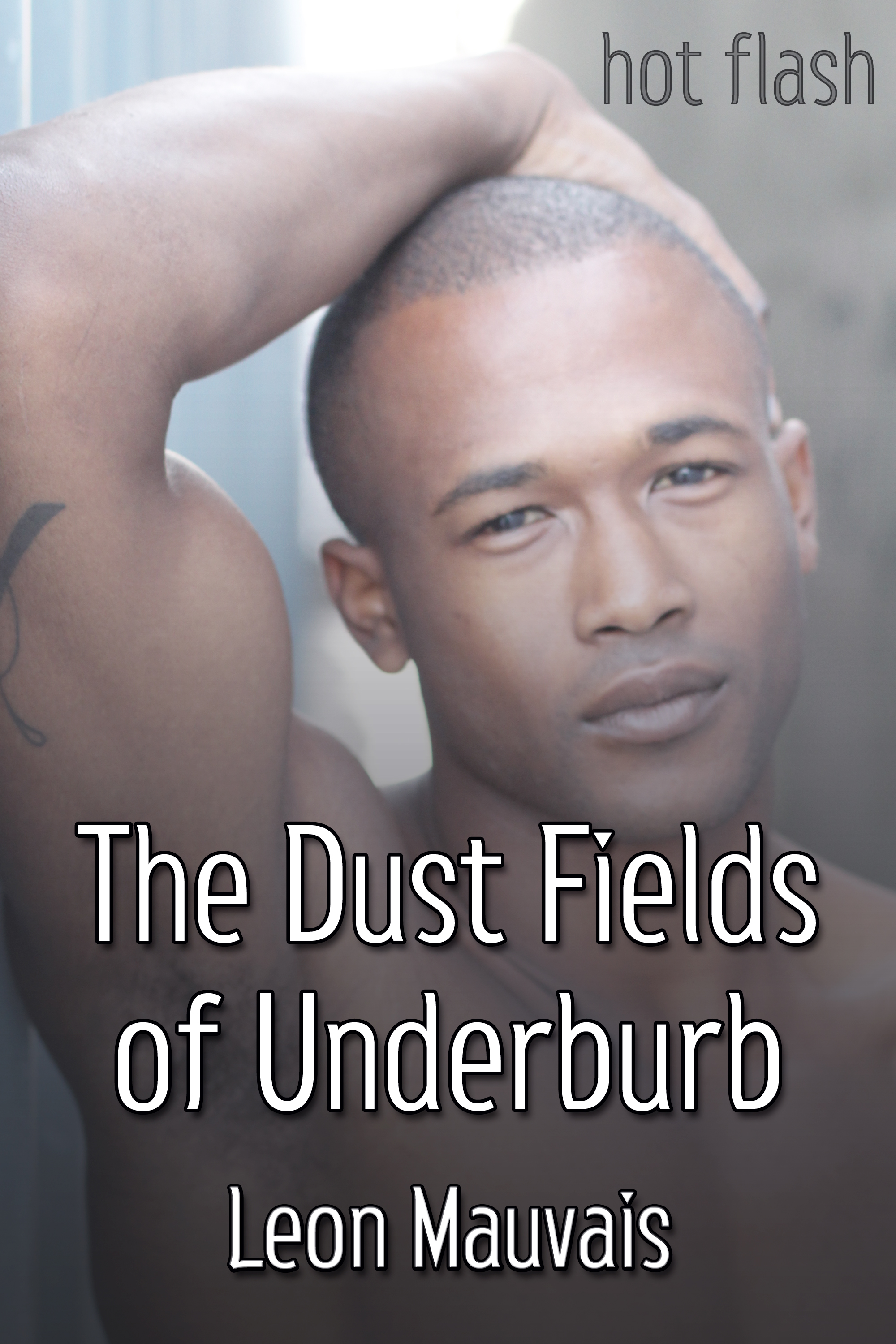 This image is the cover for the book The Dust Fields of Underburb