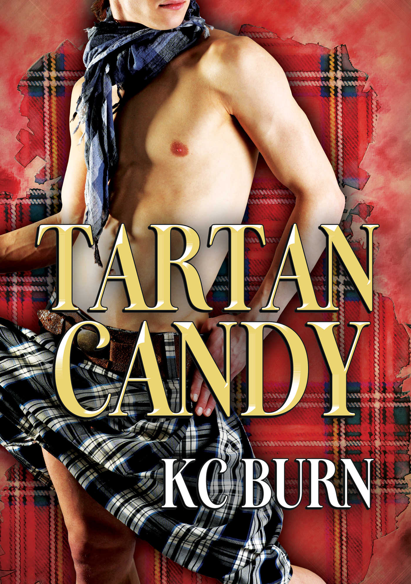 This image is the cover for the book Tartan Candy (Français), Histoires de tissus