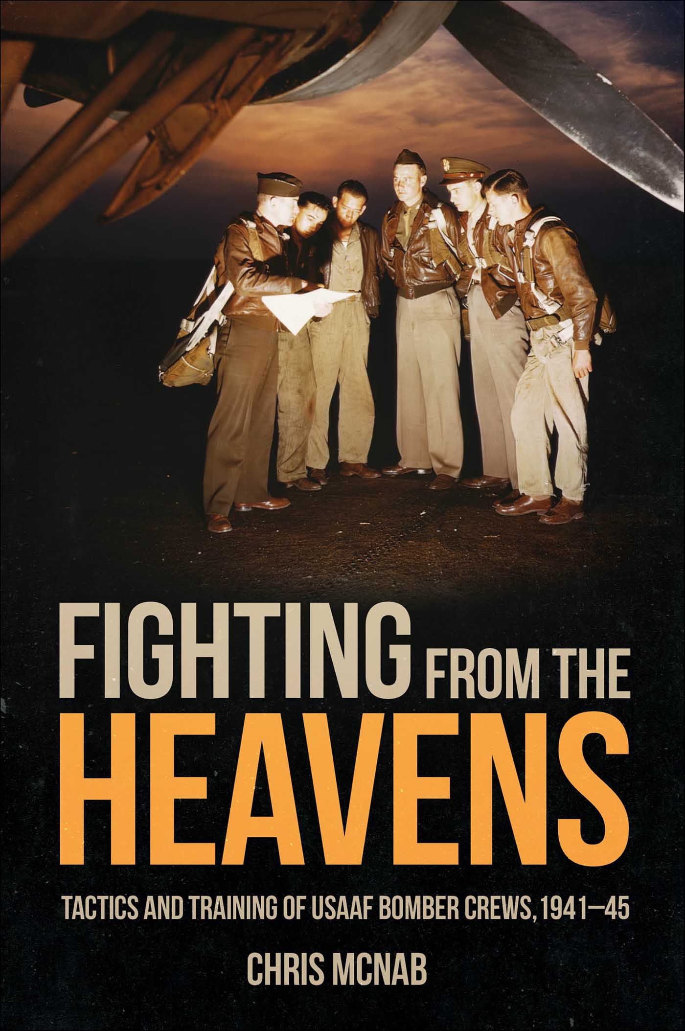 This image is the cover for the book Fighting from the Heavens