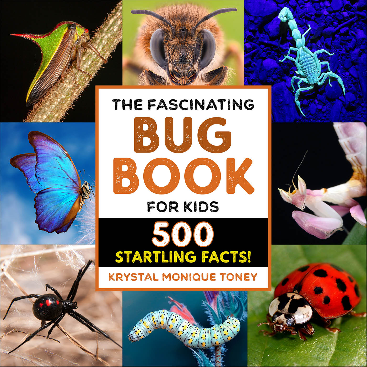 This image is the cover for the book Fascinating Bug Book for Kids