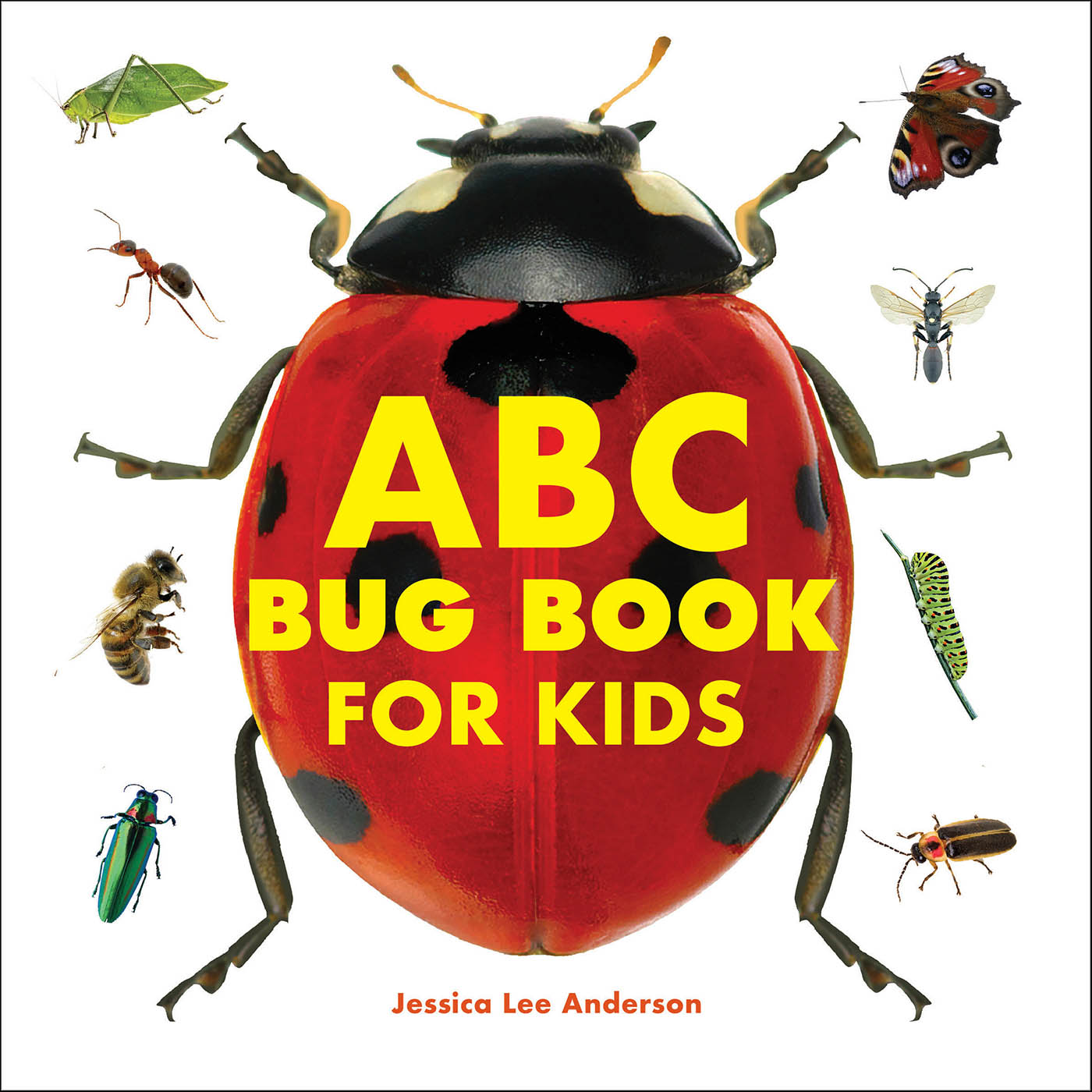 This image is the cover for the book ABC Bug Book for Kids
