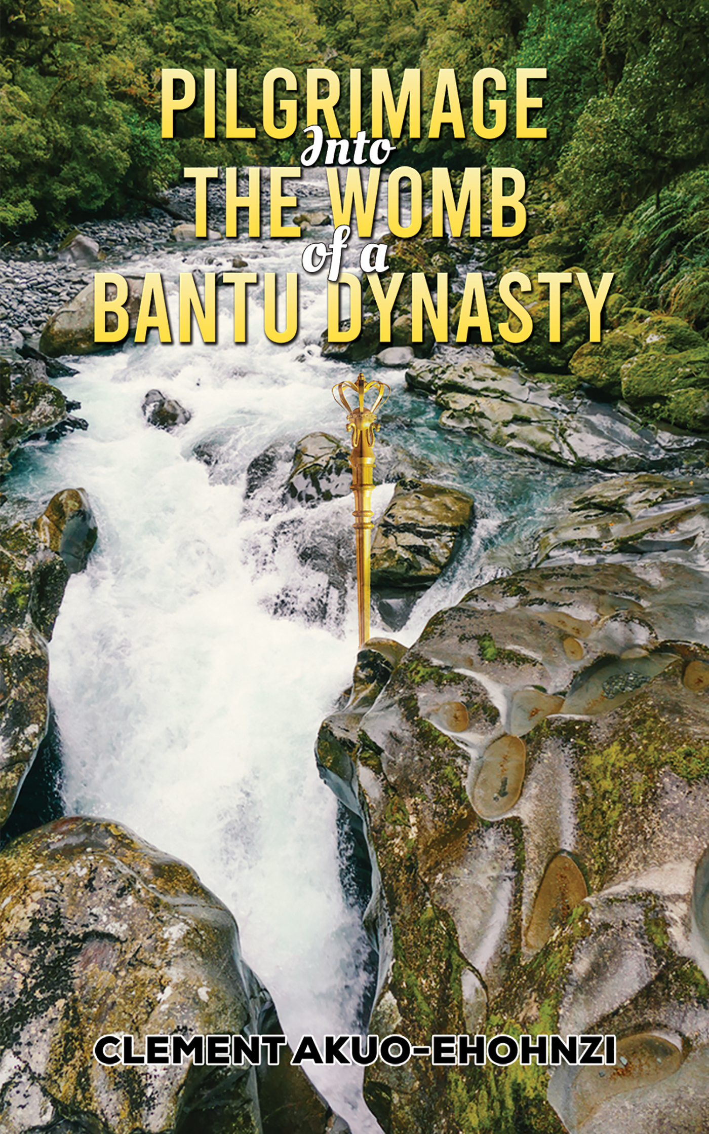 This image is the cover for the book Pilgrimage into the Womb of a Bantu Dynasty