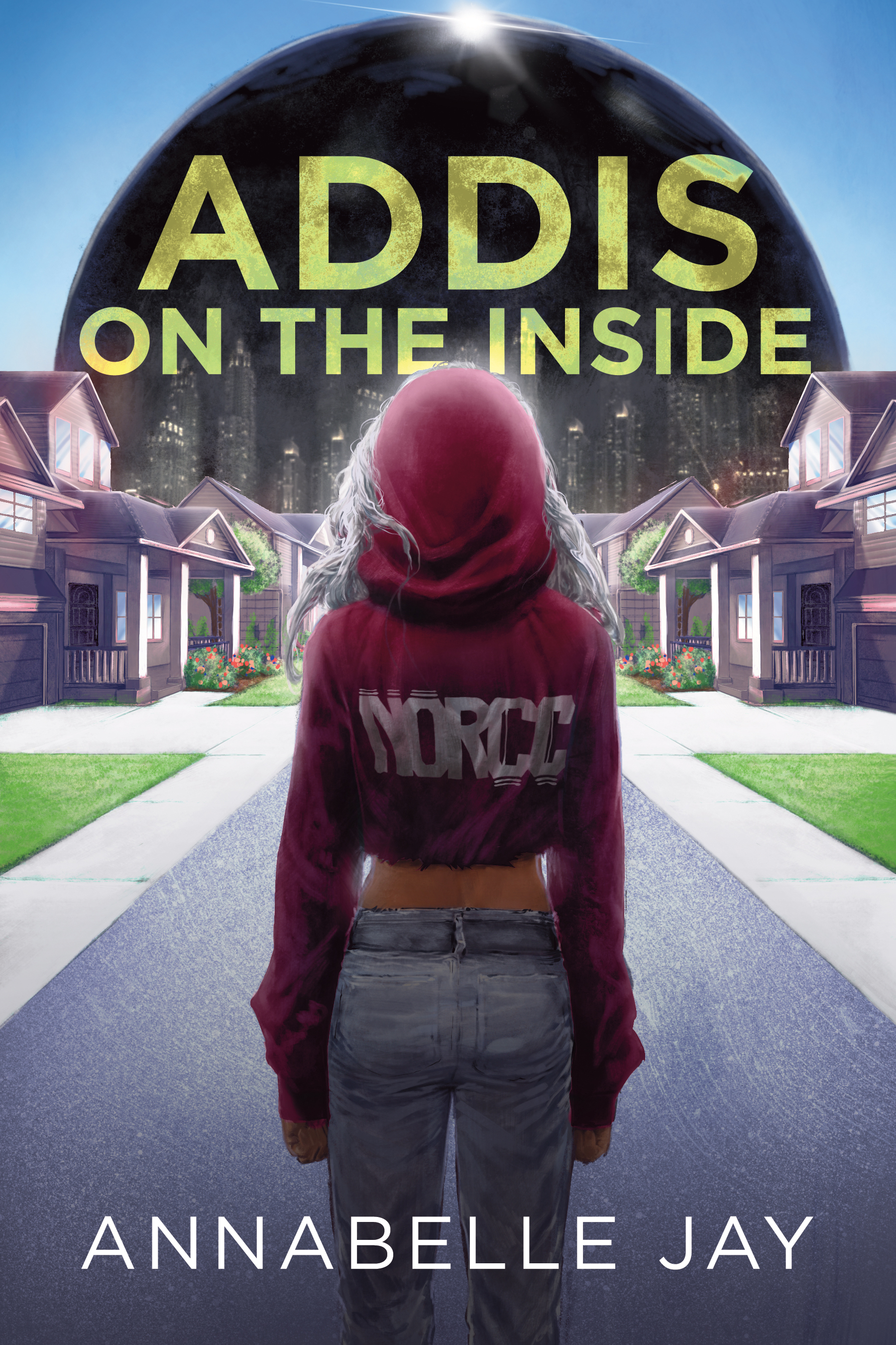 This image is the cover for the book Addis on the Inside