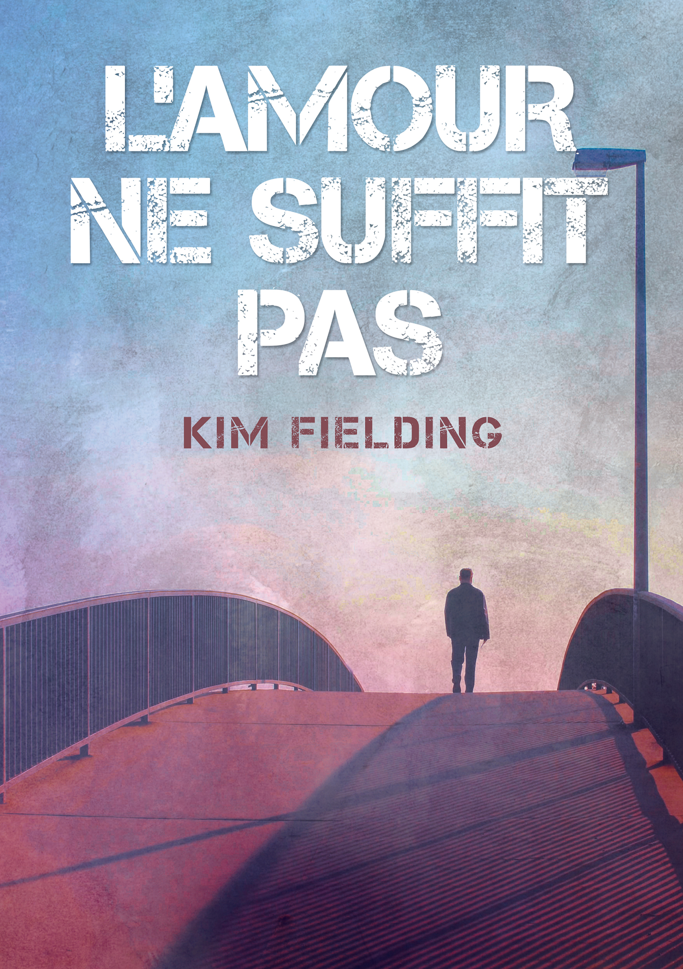 This image is the cover for the book amour ne suffit pas, L'amour ne peut pas...