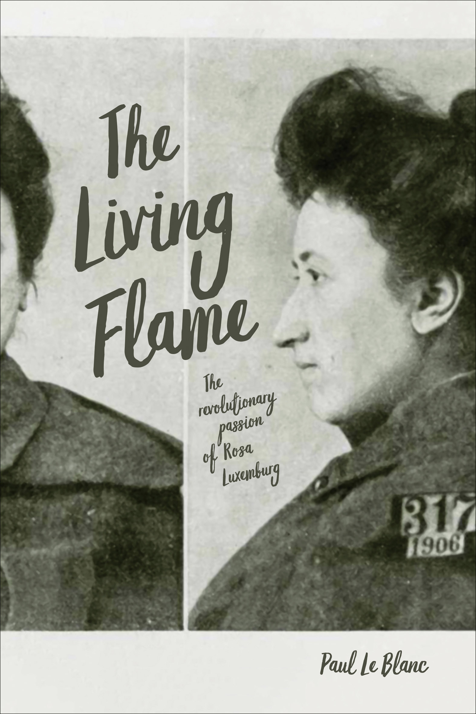 This image is the cover for the book Living Flame