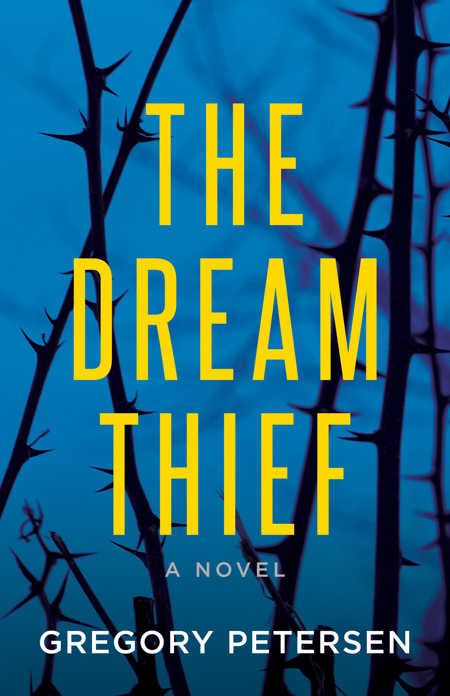 This image is the cover for the book Dream Thief