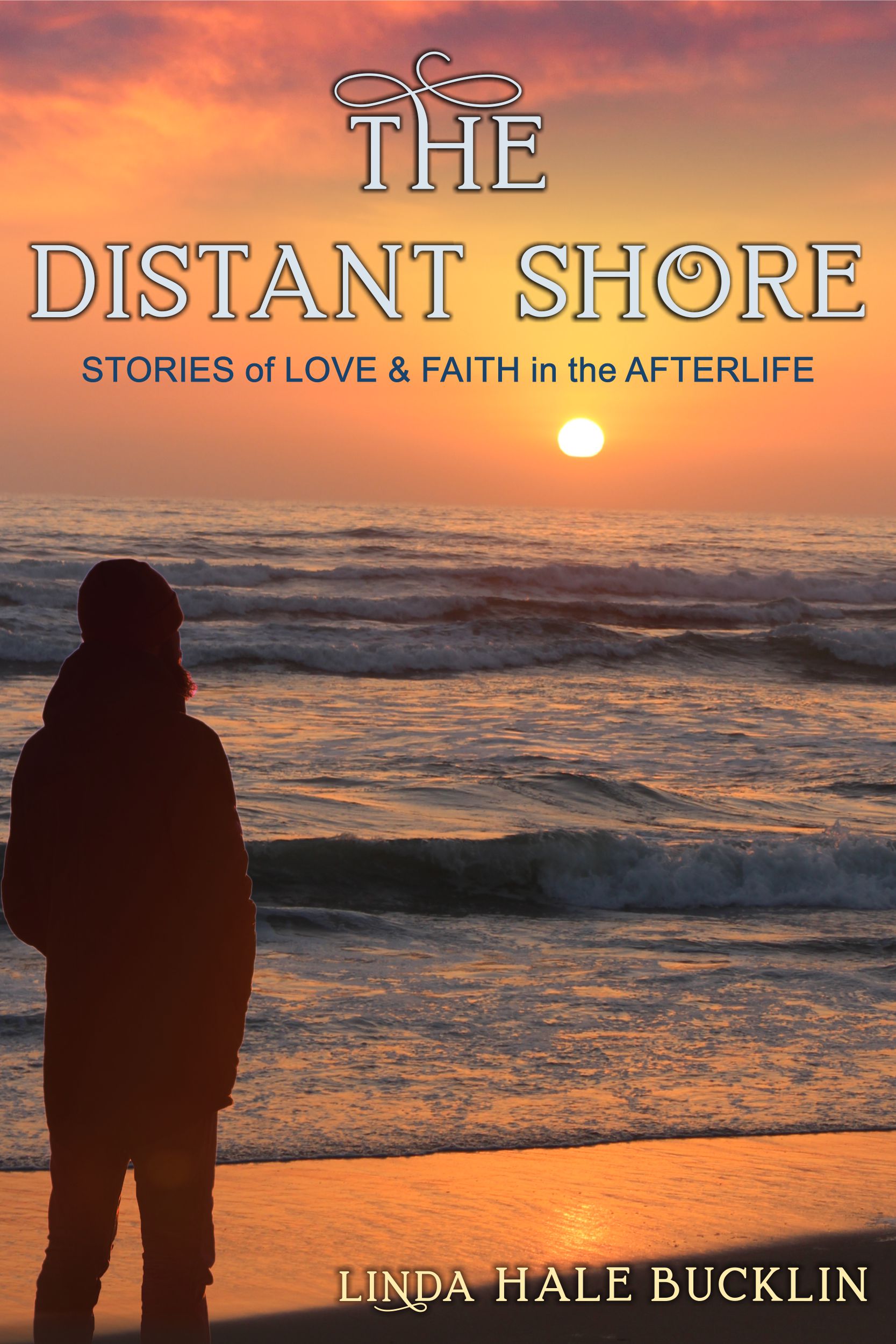 This image is the cover for the book The Distant Shore