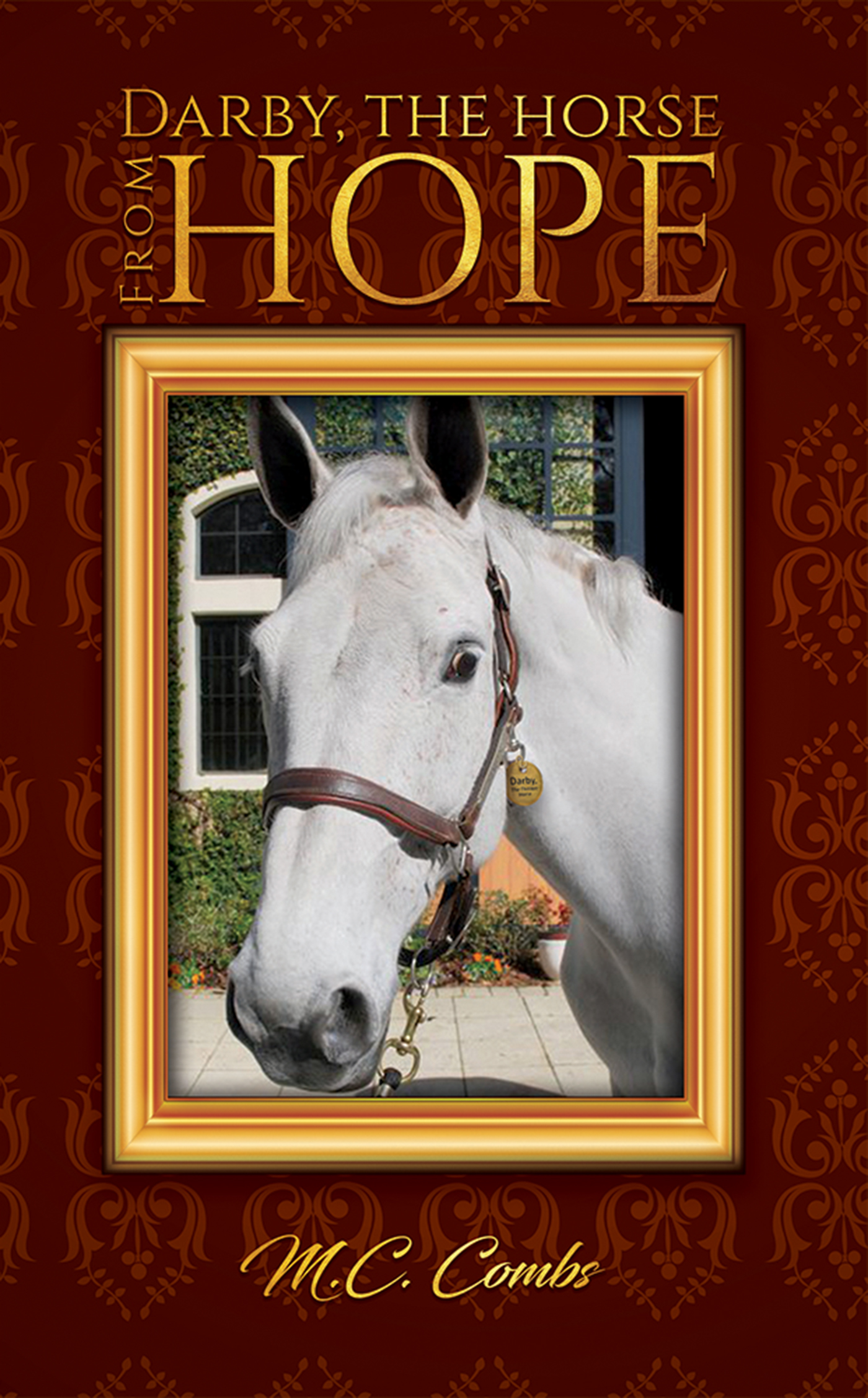 This image is the cover for the book Darby, the Horse from Hope