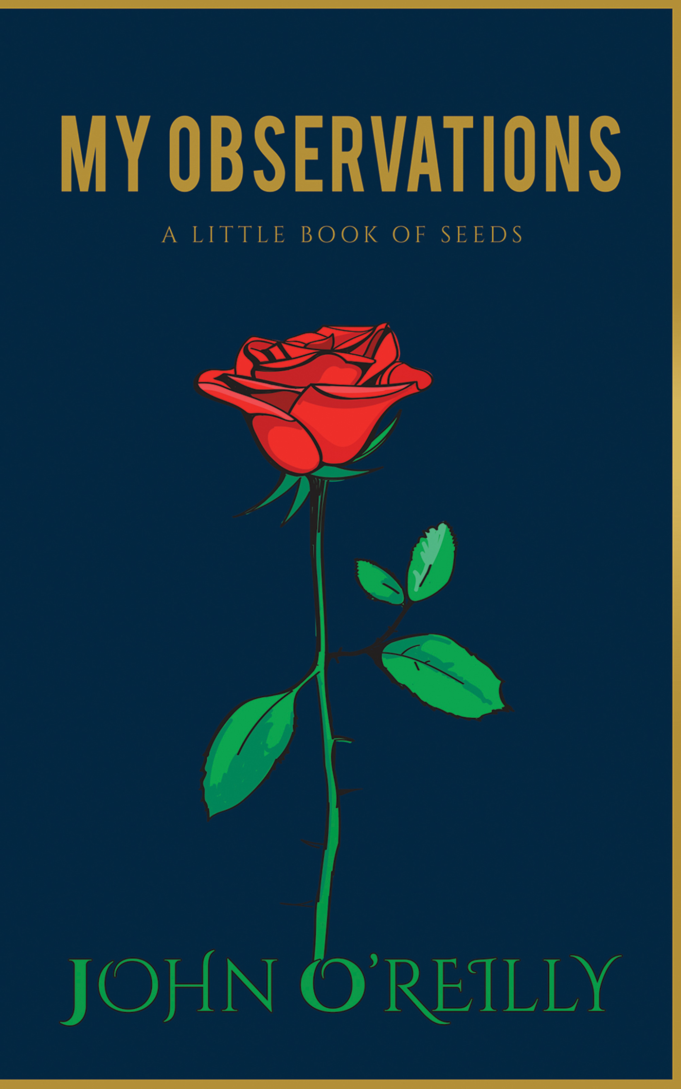 This image is the cover for the book My Observations