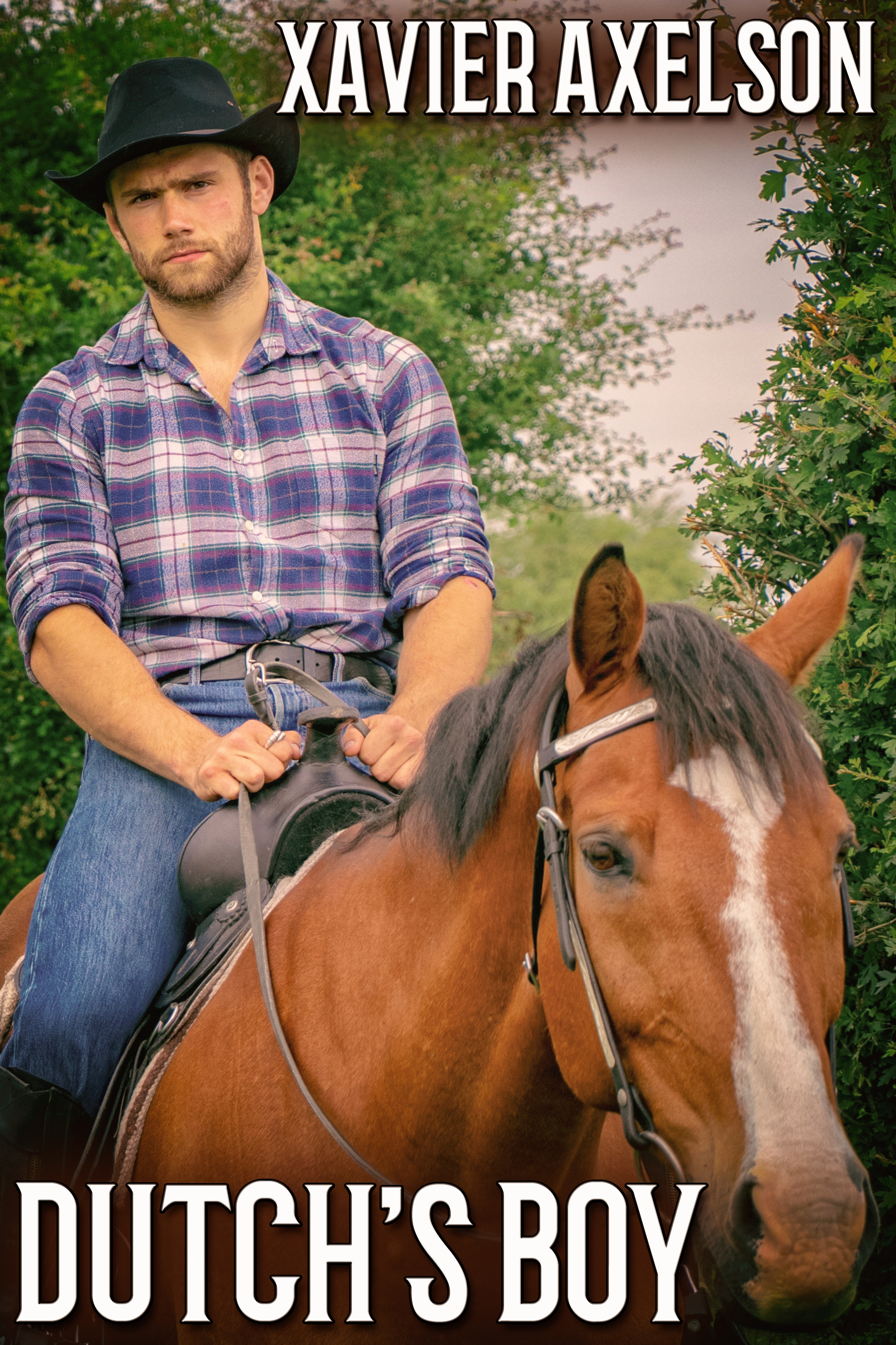 This image is the cover for the book Dutch's Boy