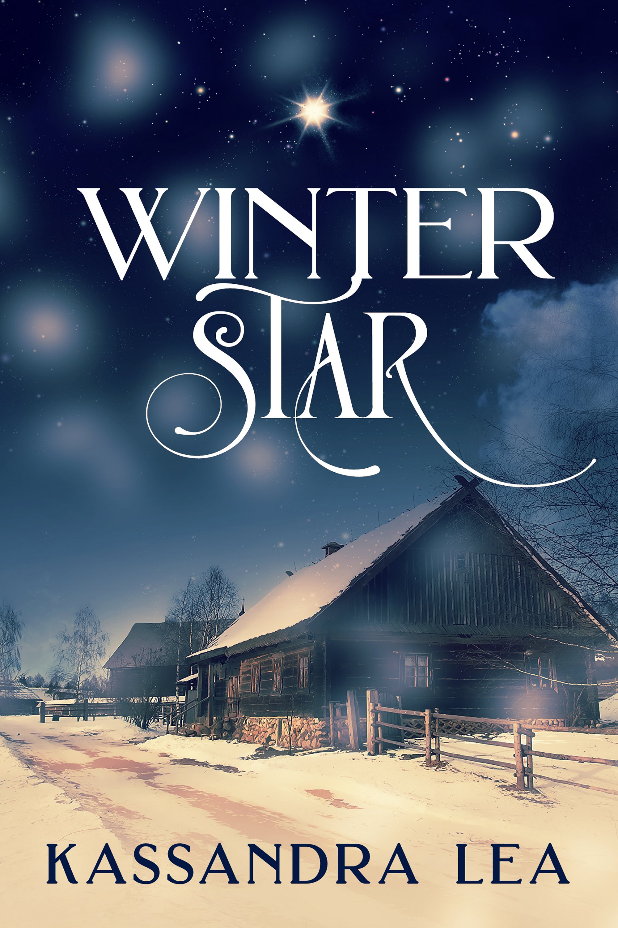 This image is the cover for the book Winter Star