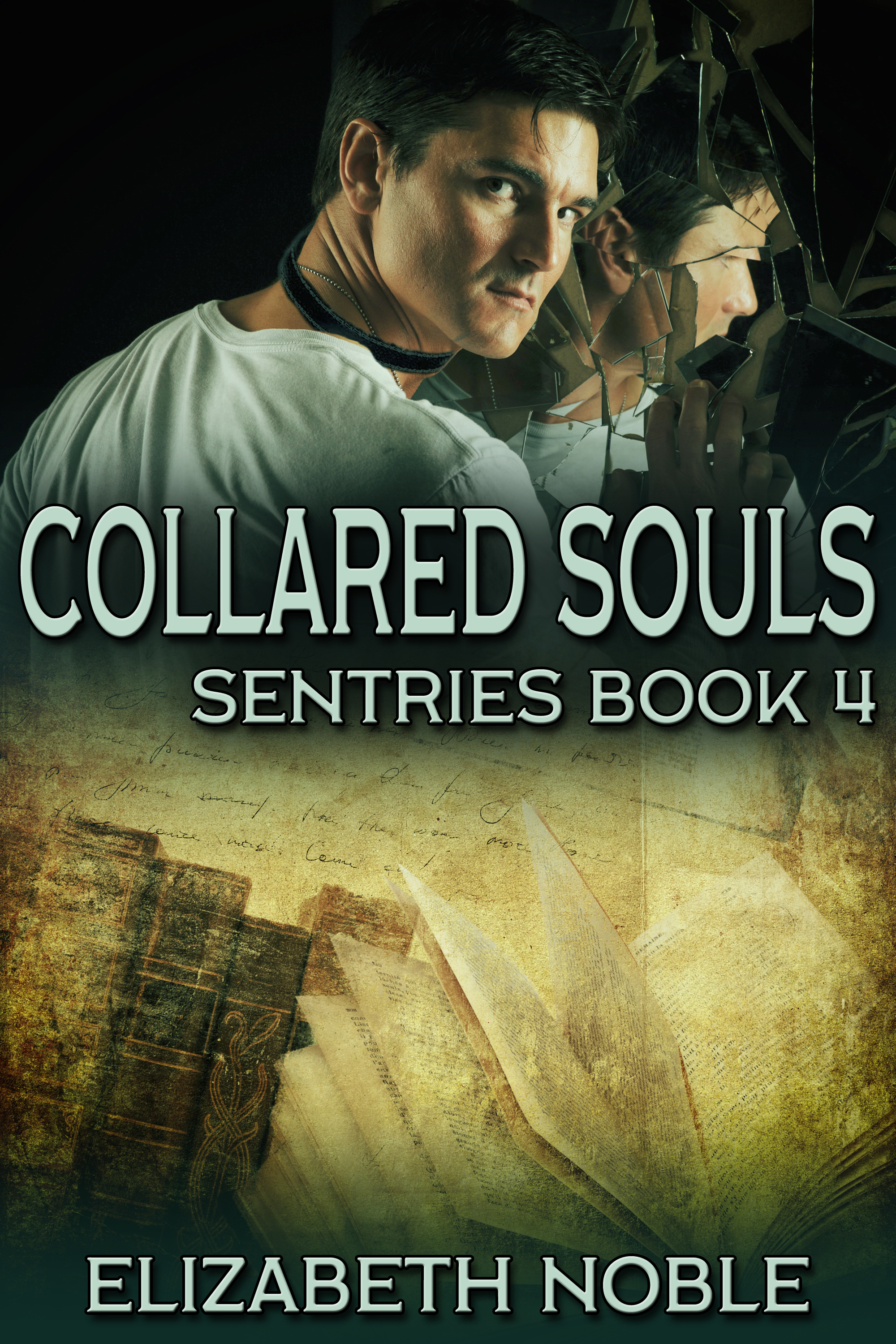 This image is the cover for the book Collared Souls, Sentries