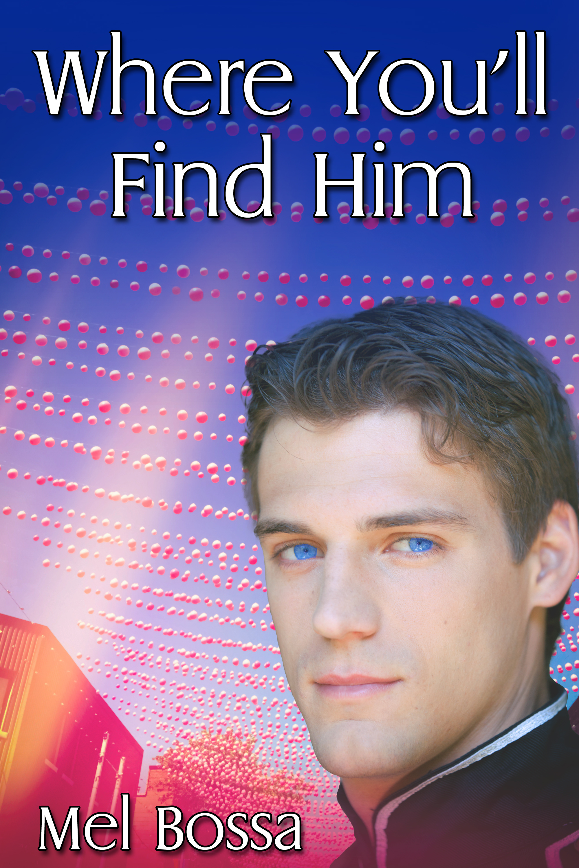 This image is the cover for the book Where You'll Find Him