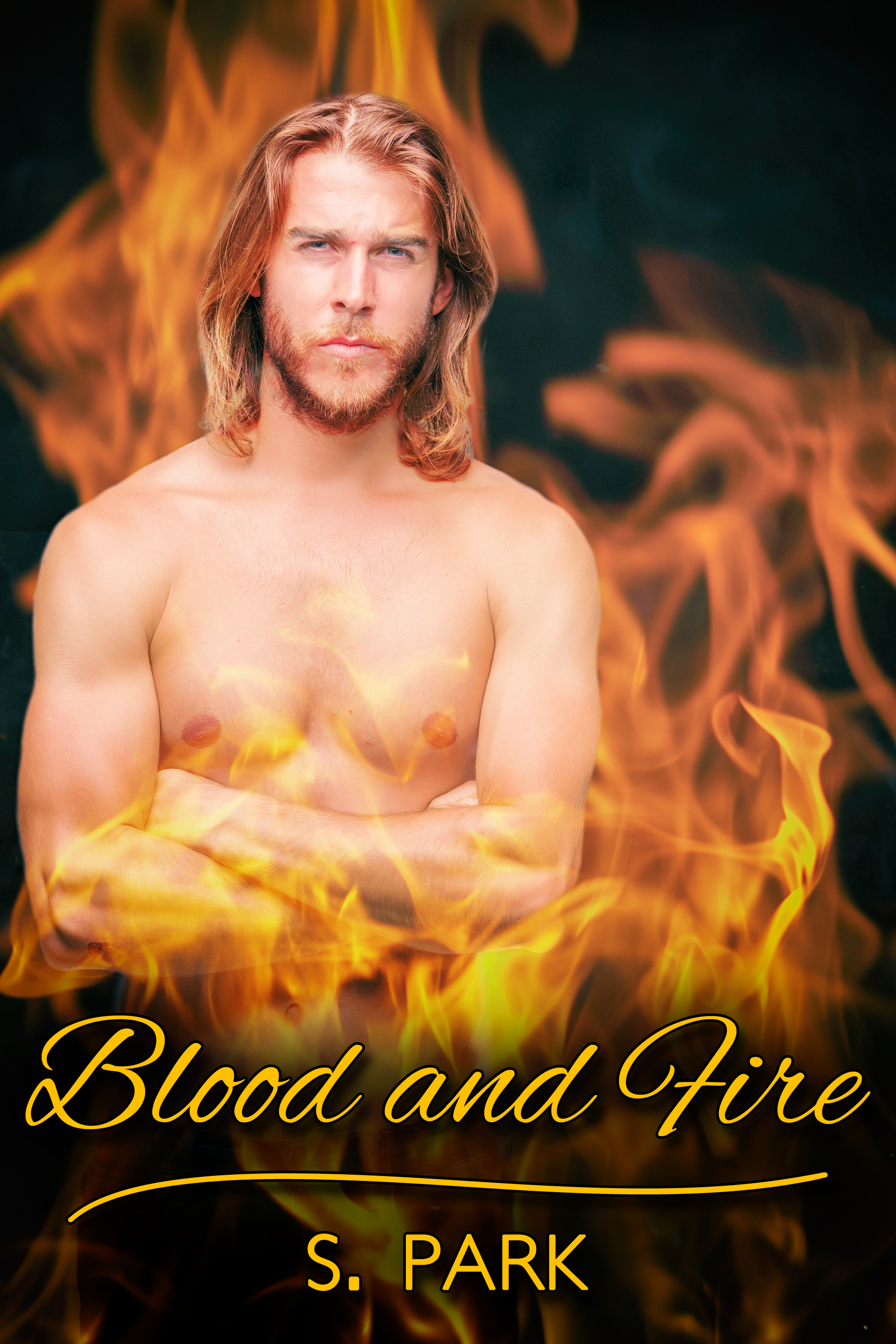 This image is the cover for the book Blood and Fire