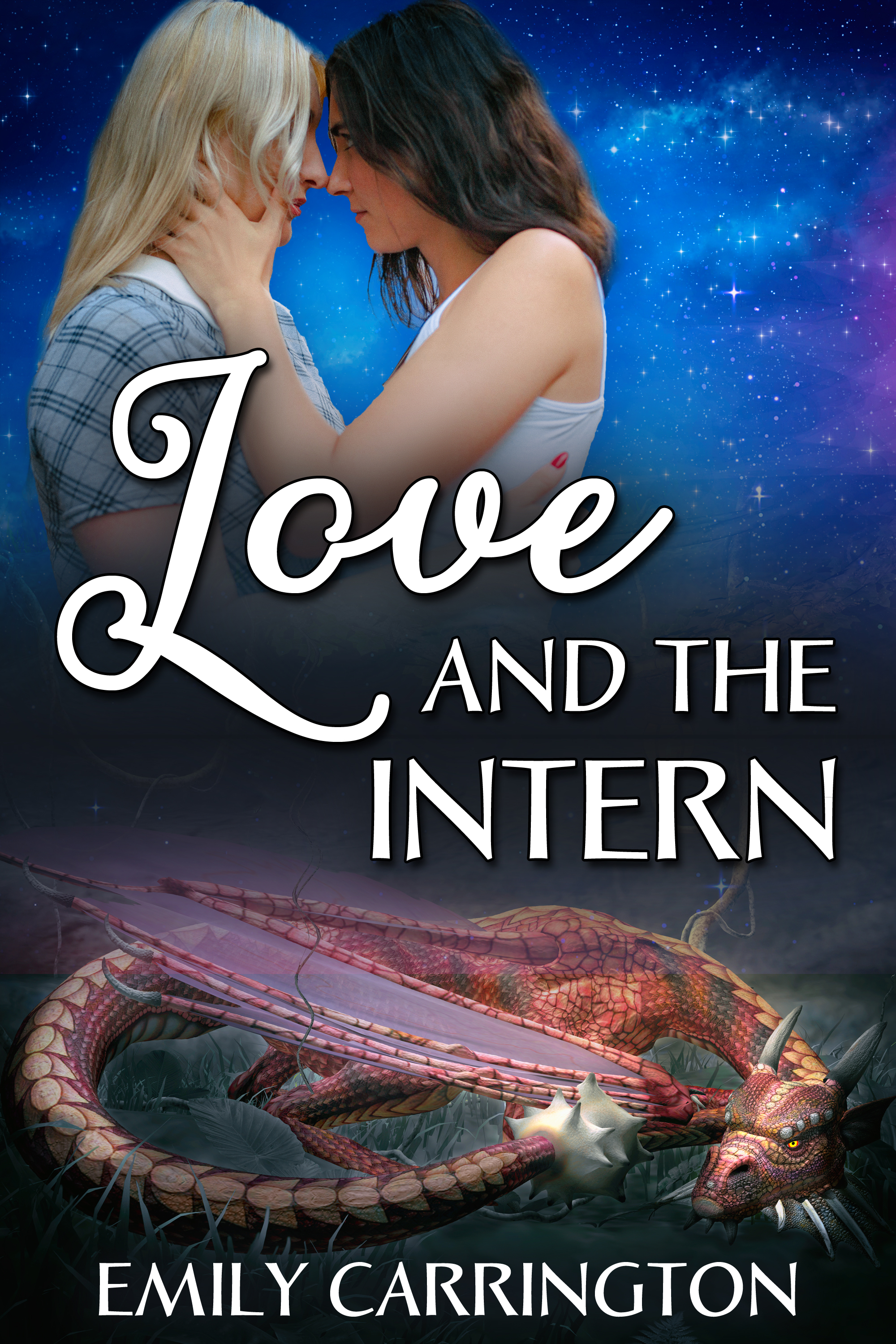 This image is the cover for the book Love and the Intern