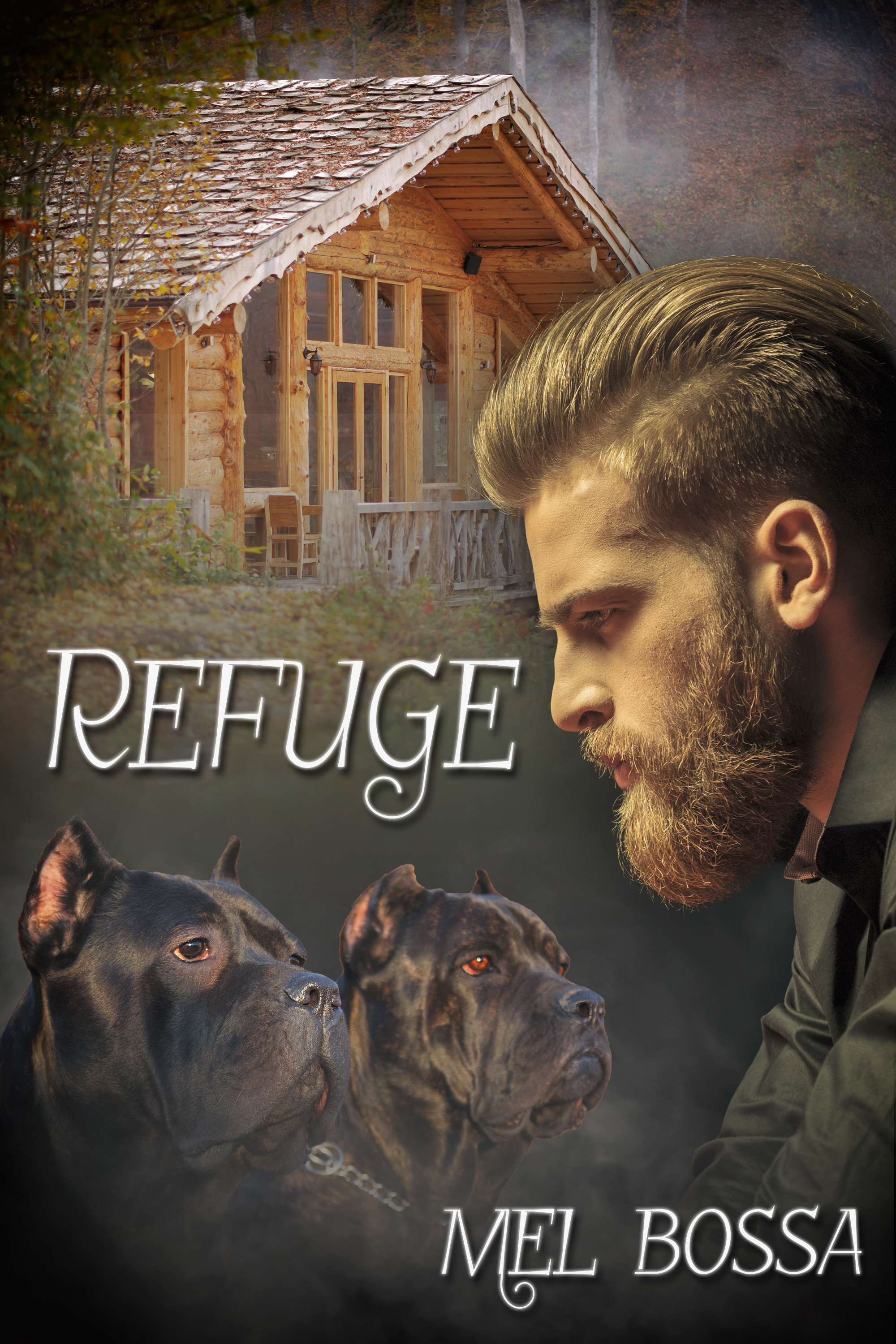 This image is the cover for the book Refuge