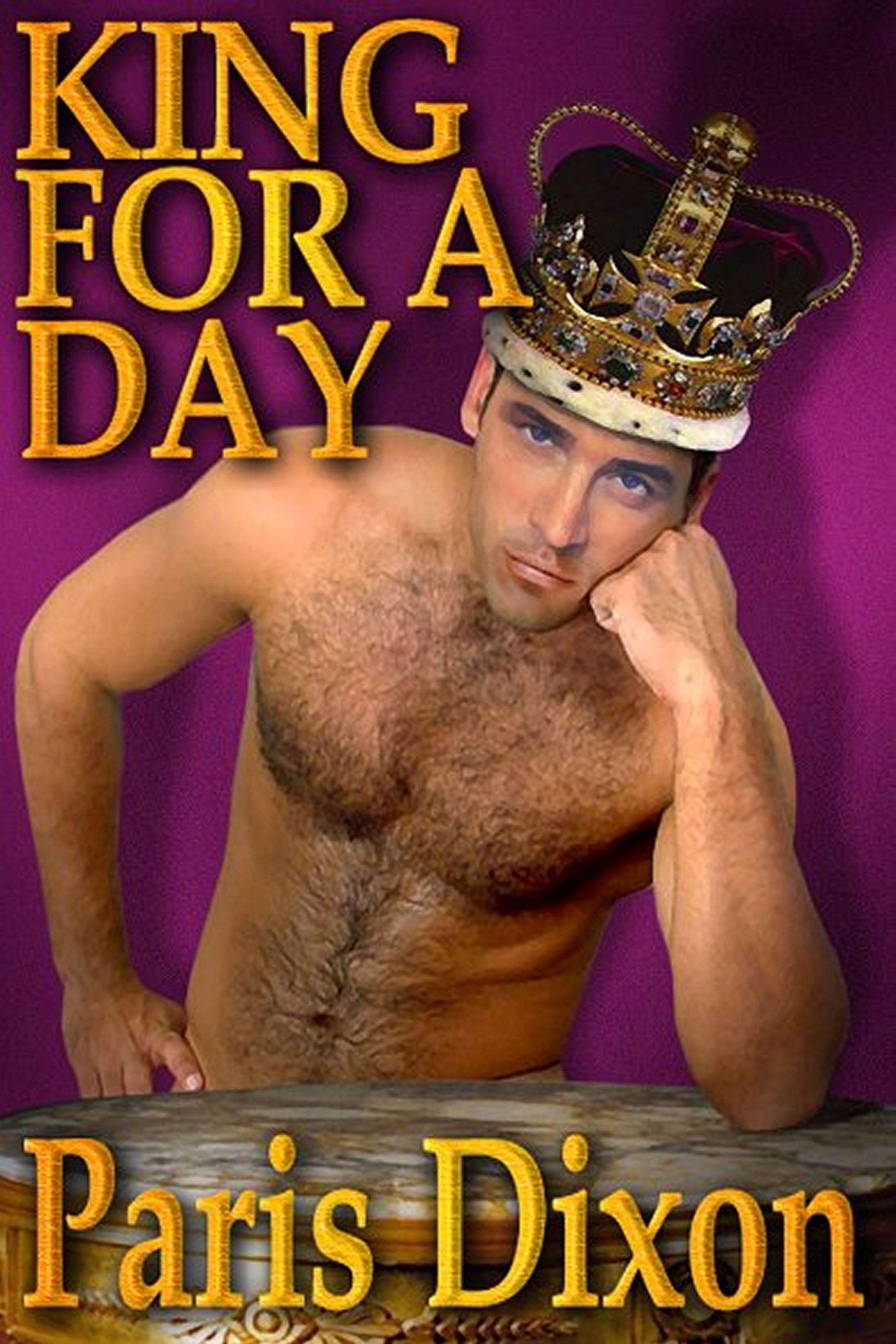 This image is the cover for the book King for a Day