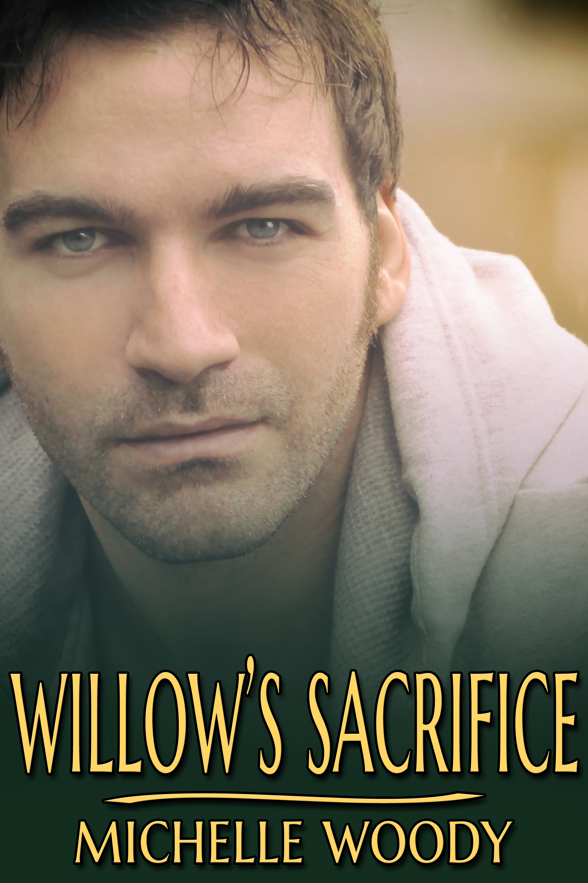 This image is the cover for the book Willow's Sacrifice