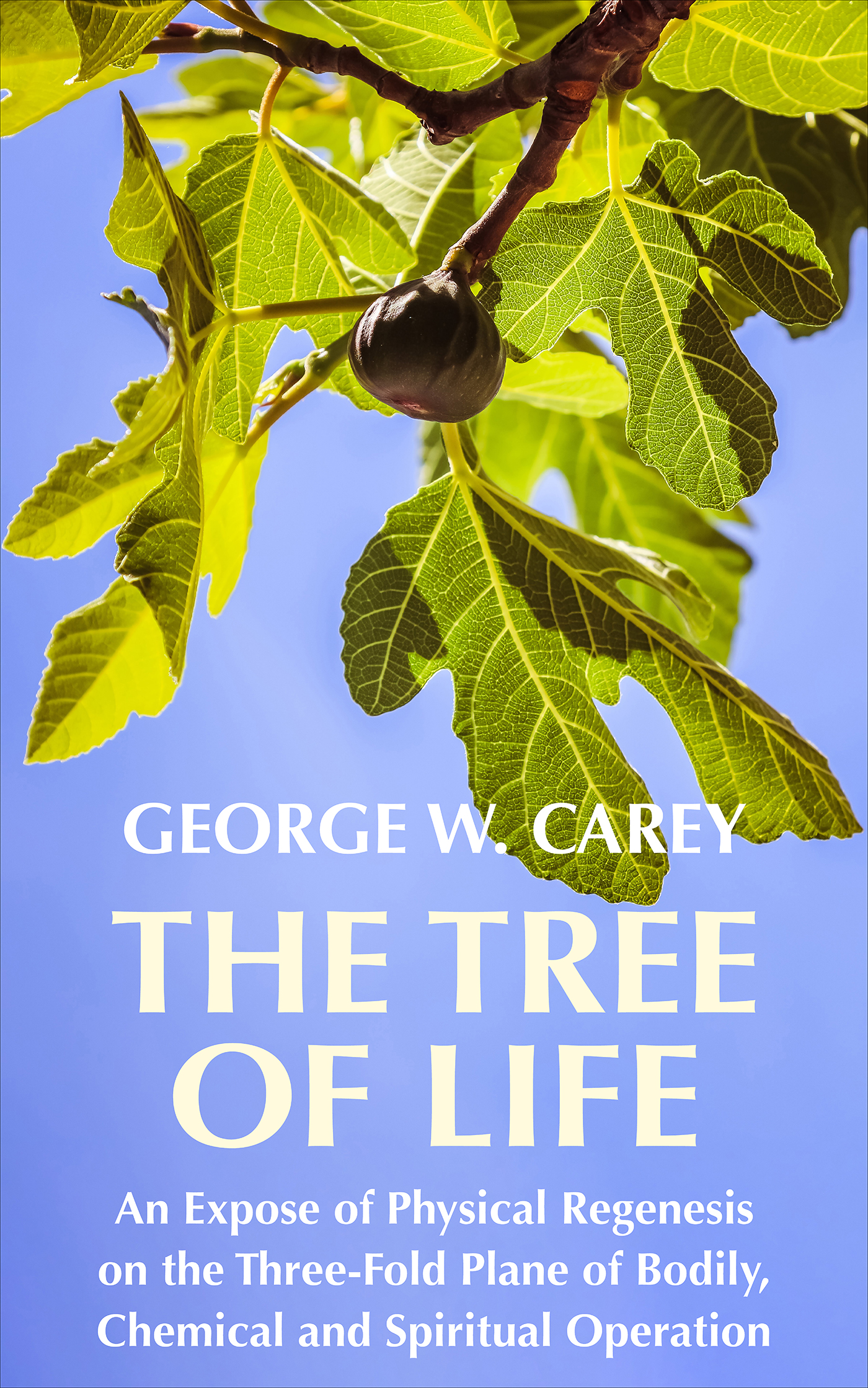 This image is the cover for the book Tree of Life