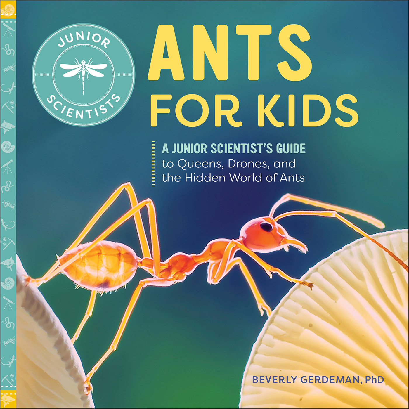 This image is the cover for the book Ants for Kids