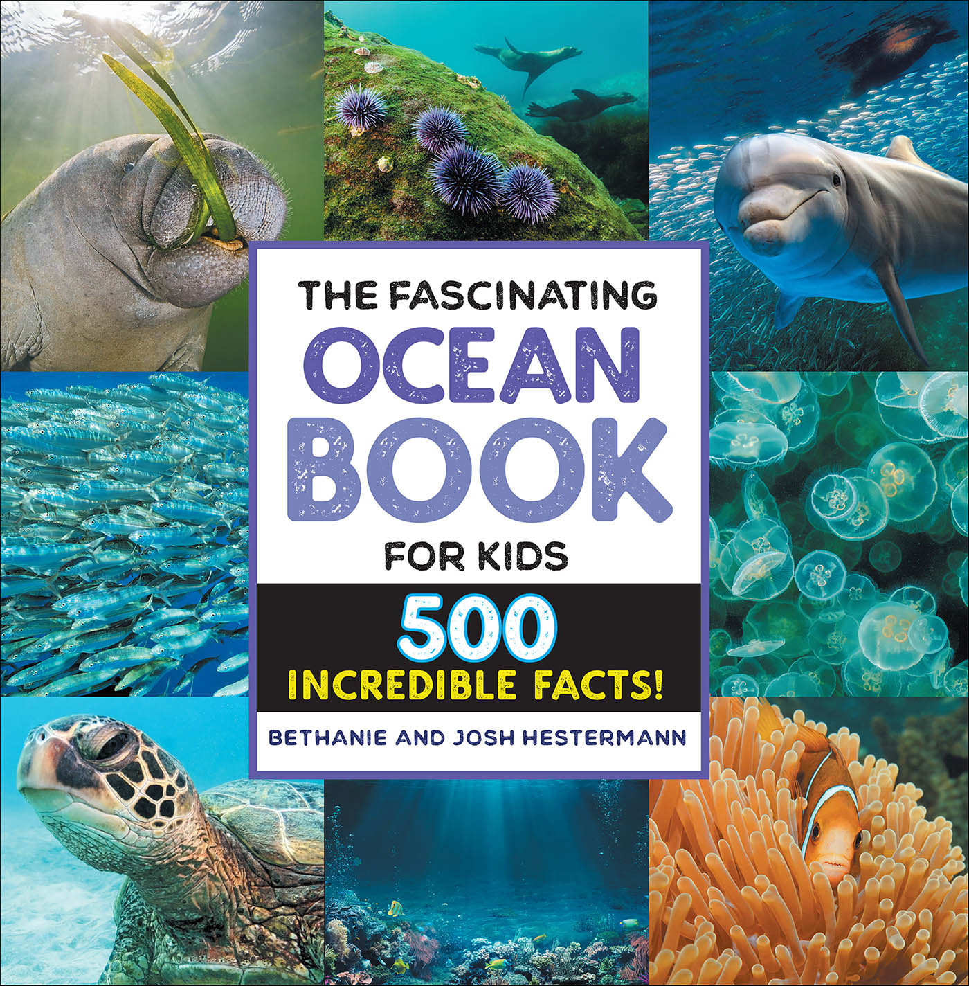 This image is the cover for the book Fascinating Ocean Book for Kids