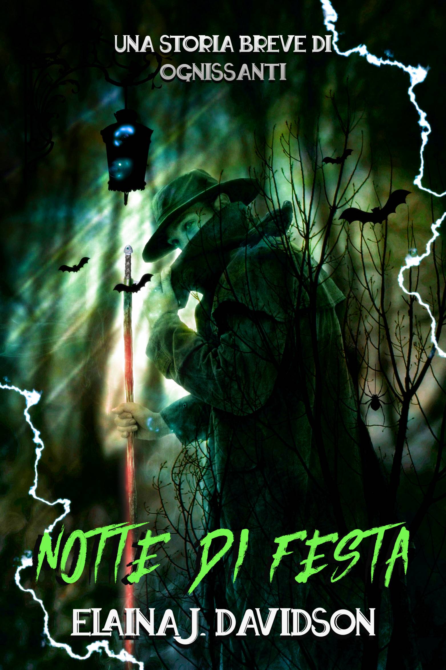 This image is the cover for the book Notte di festa