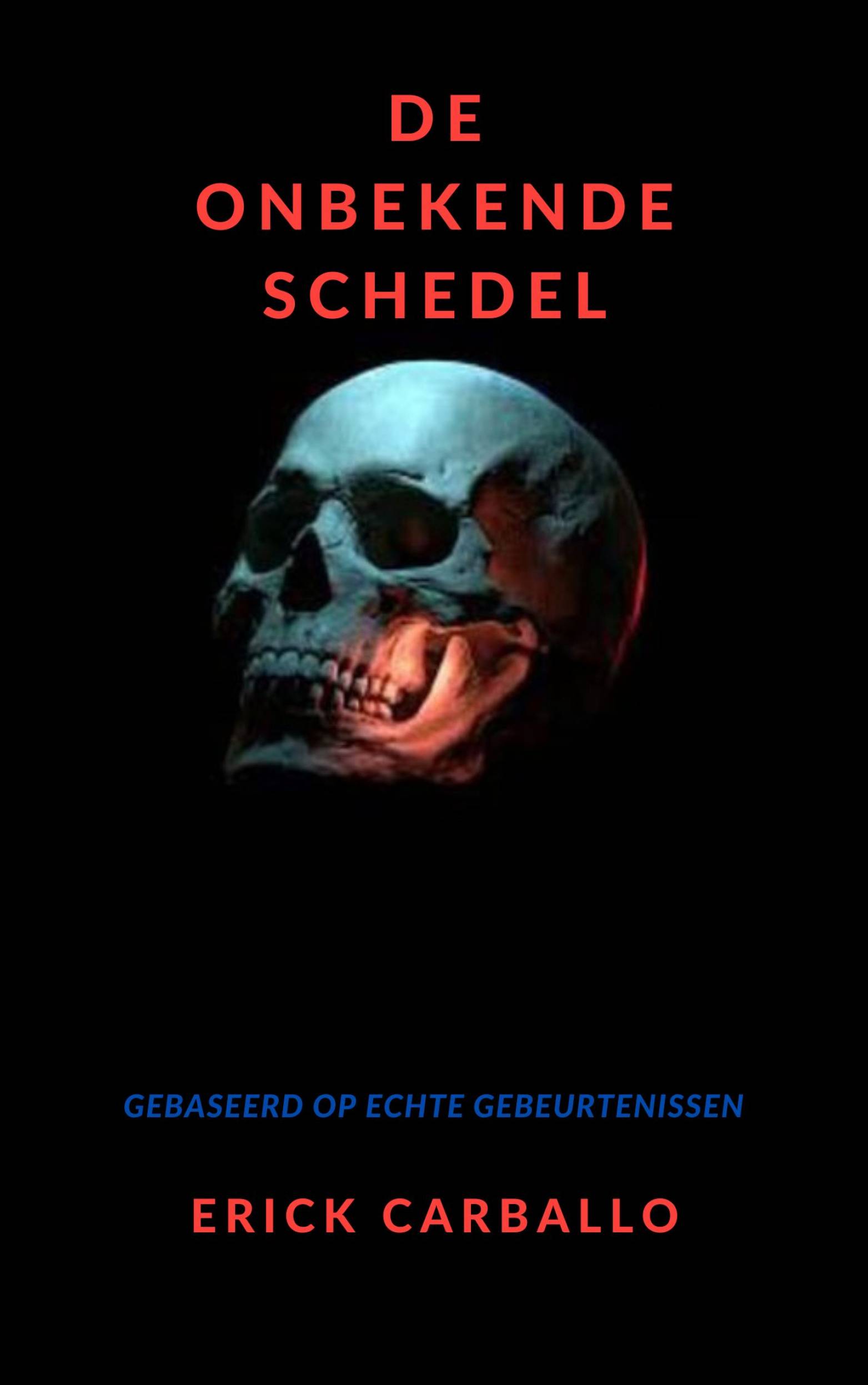 This image is the cover for the book De onbekende schedel