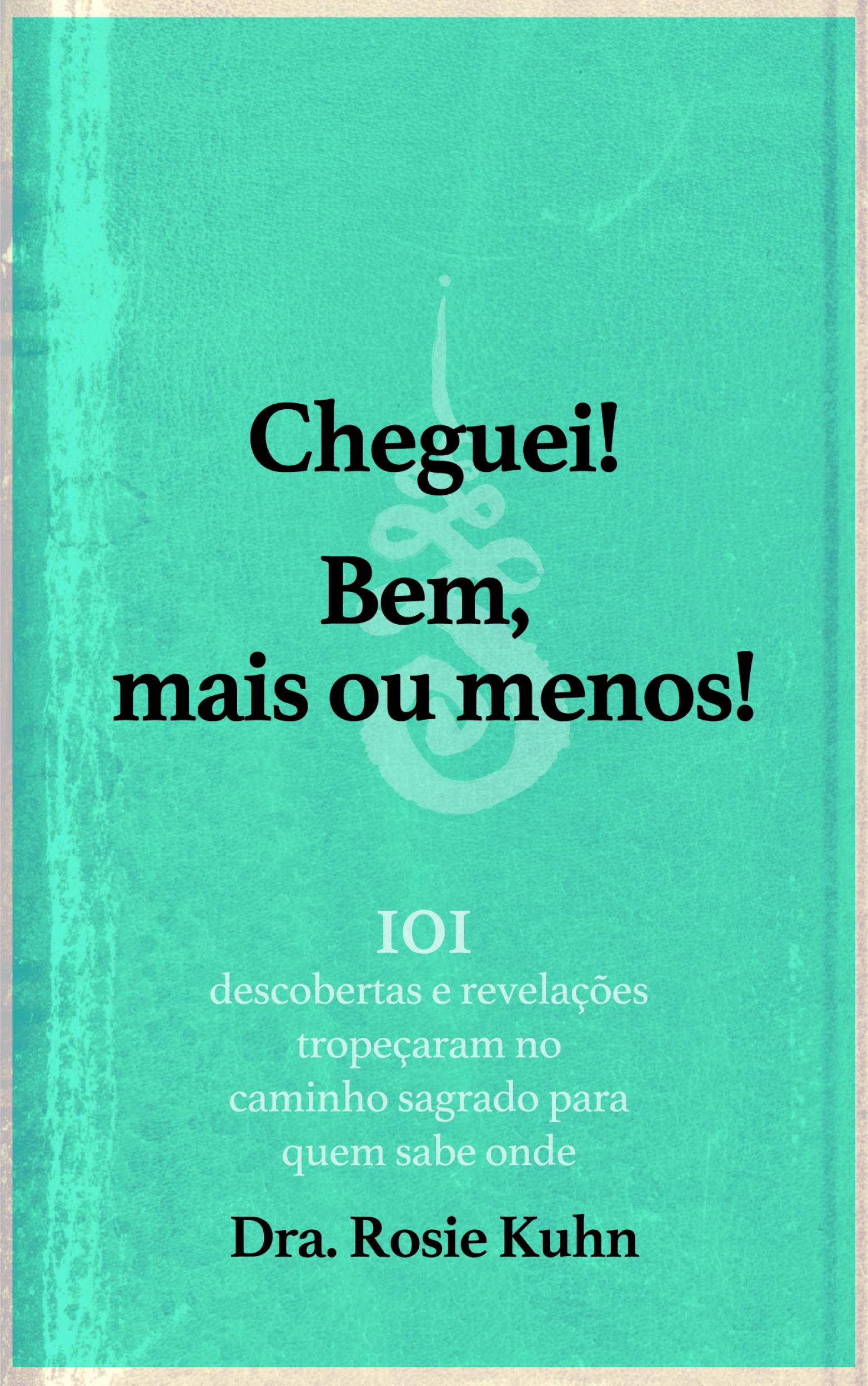 This image is the cover for the book Cheguei! Bem, mais ou menos!