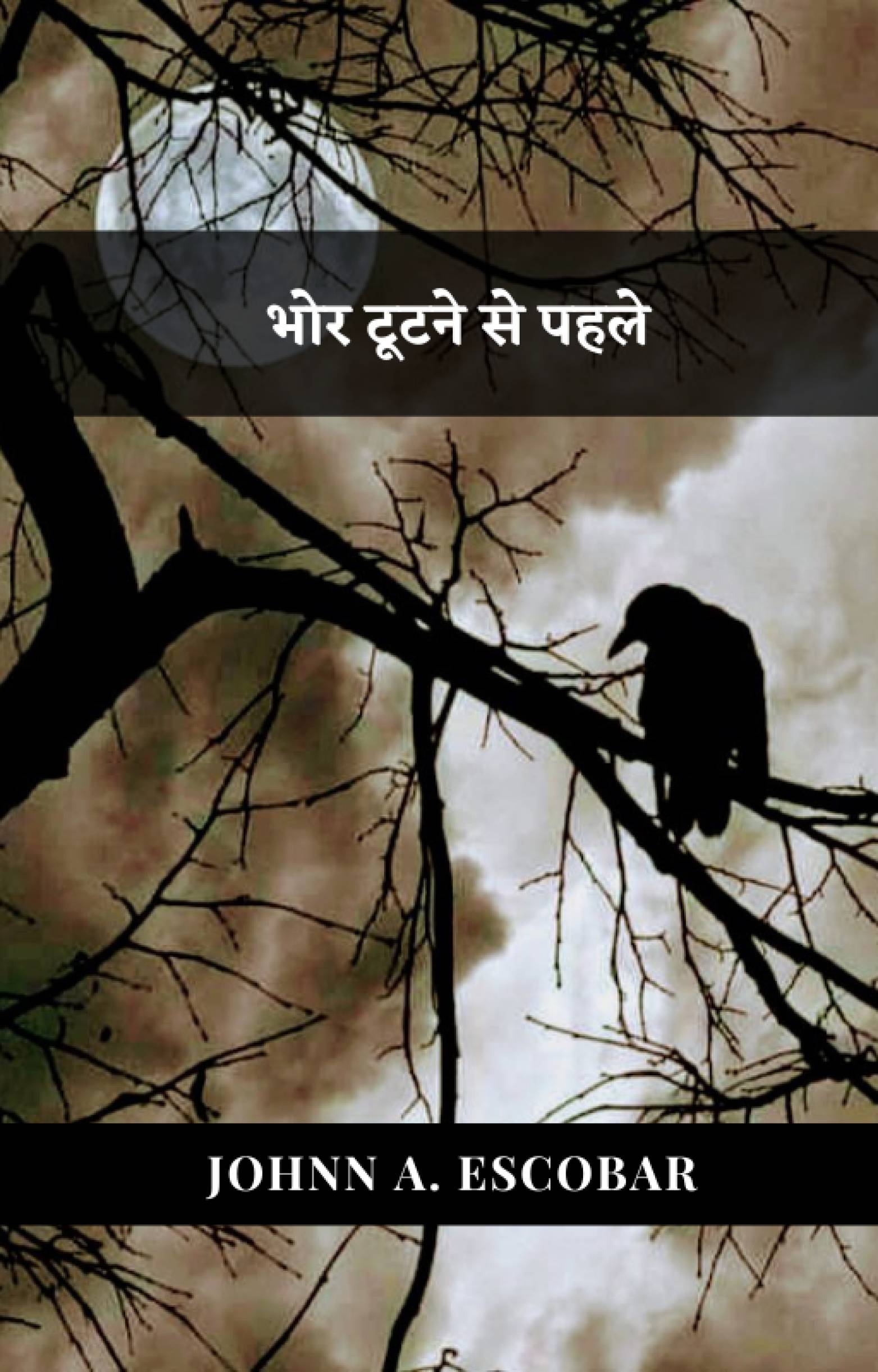 This image is the cover for the book भोर टूटने से पहले