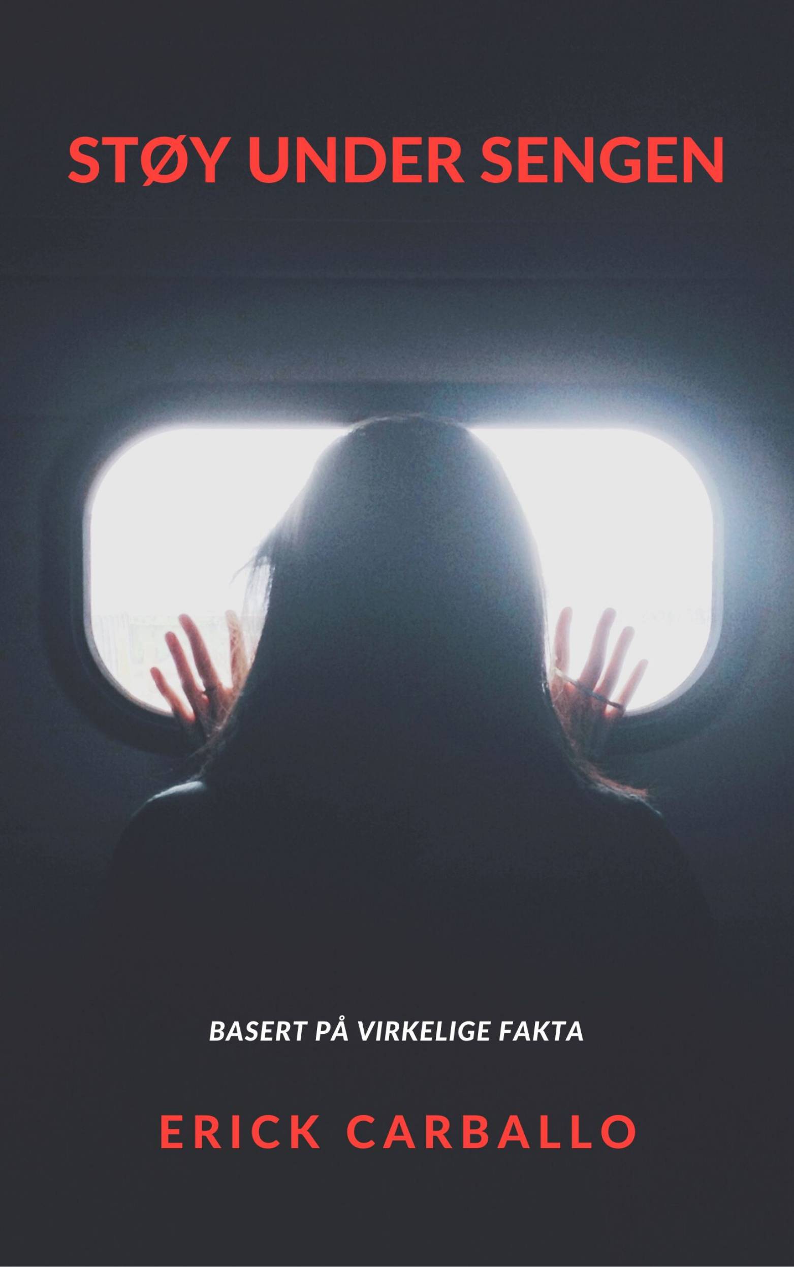 This image is the cover for the book Støy under sengen