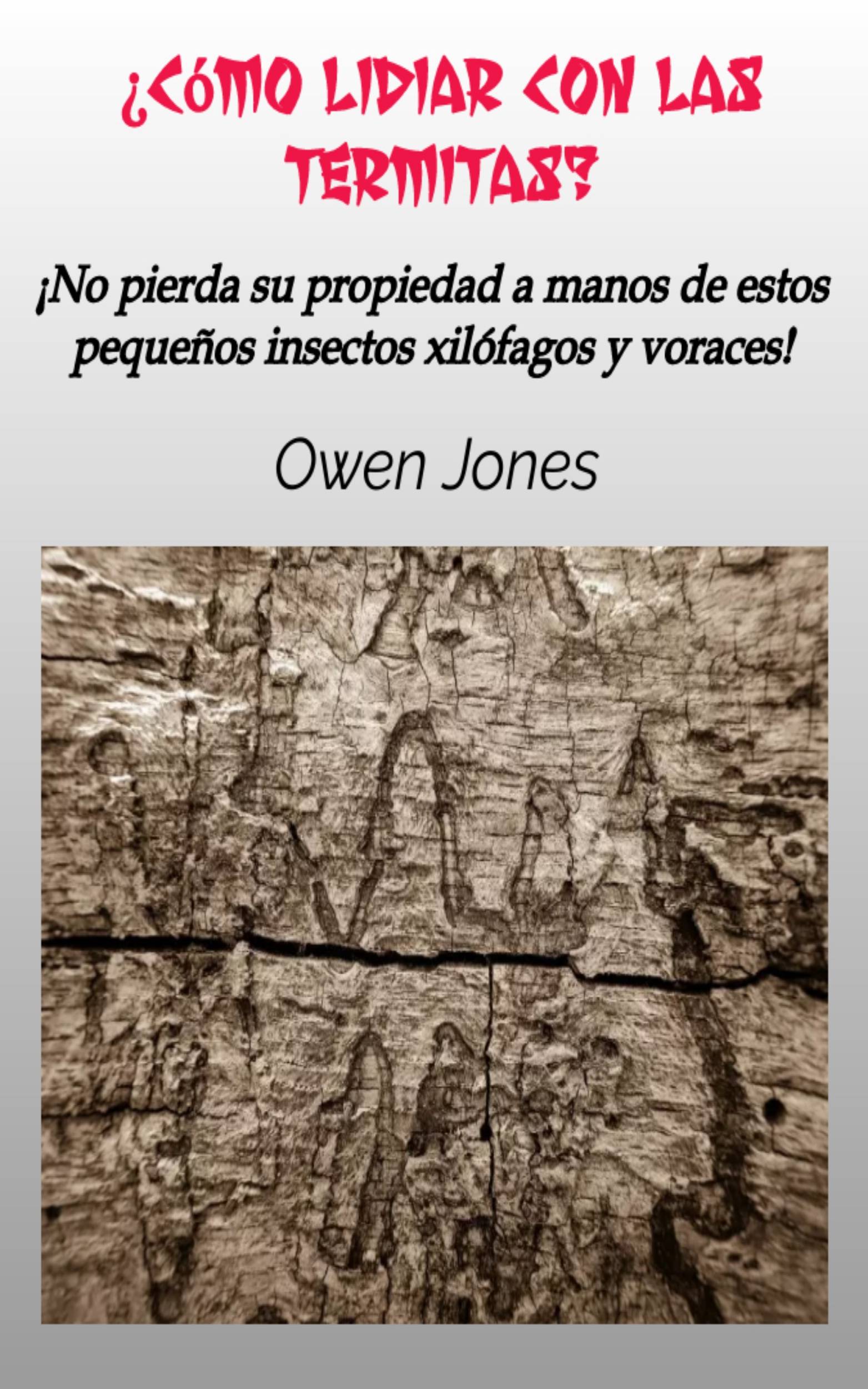 This image is the cover for the book ¿Cómo lidiar con las termitas?, ¿Cómo...?