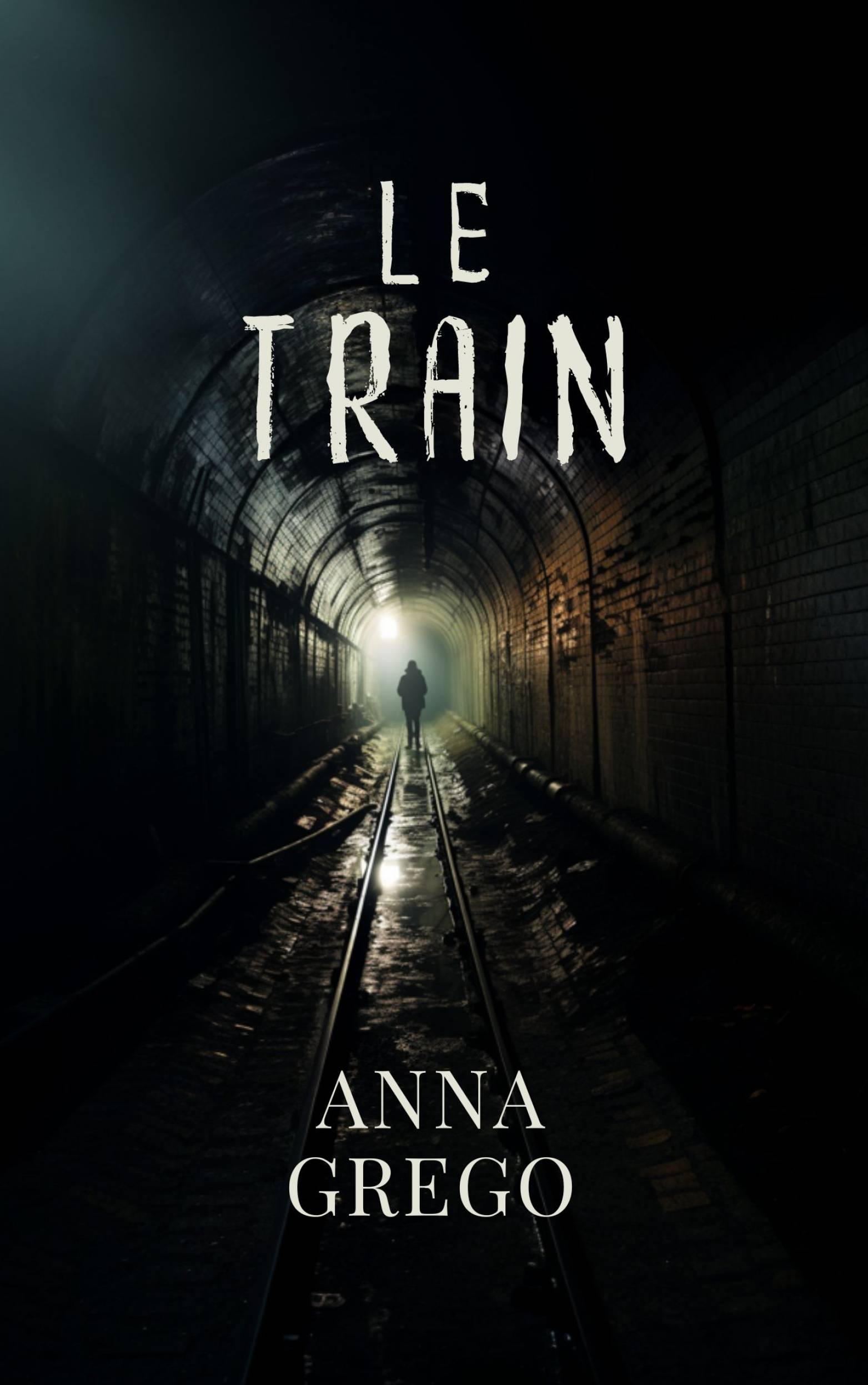 This image is the cover for the book Le Train