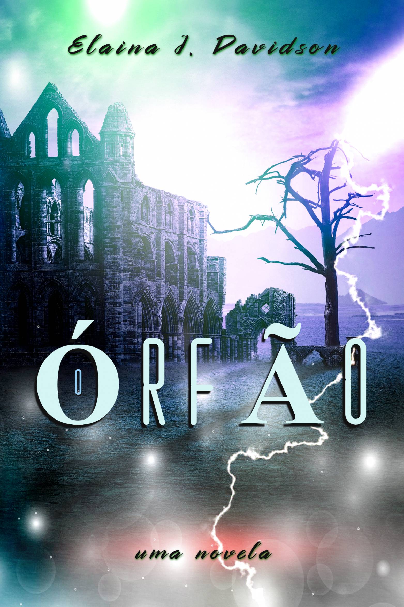 This image is the cover for the book O Órfão