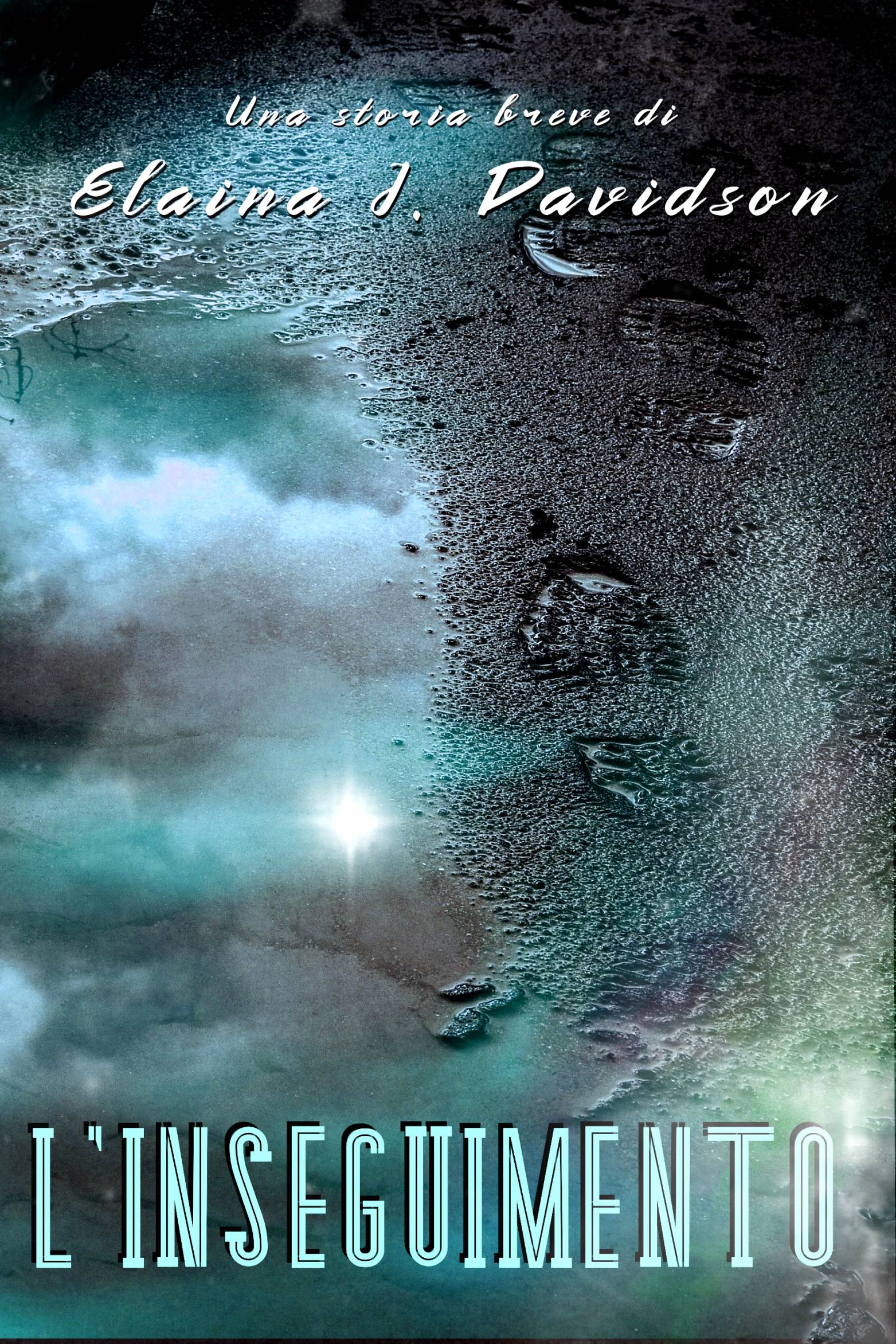 This image is the cover for the book L'Inseguimento