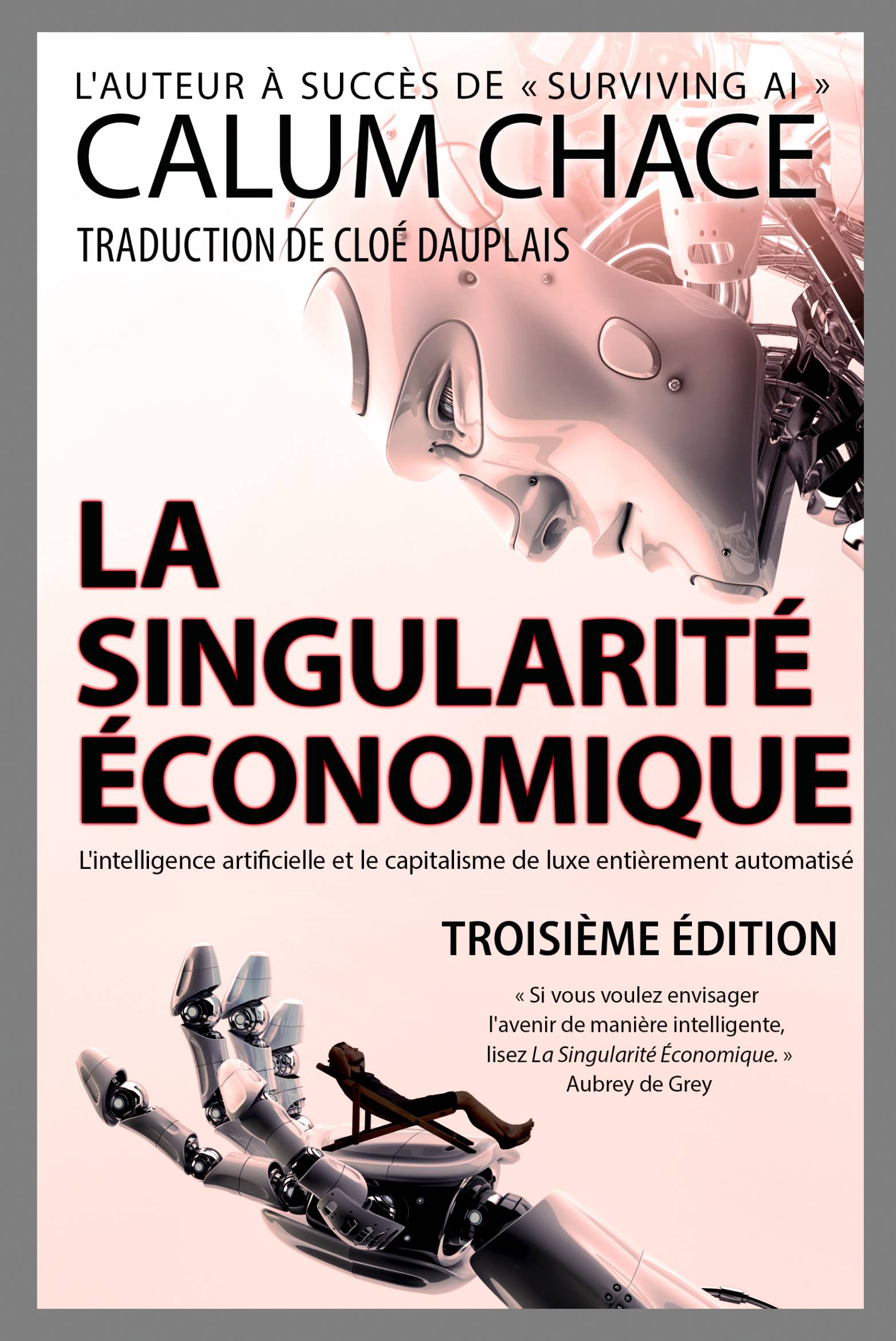 This image is the cover for the book La Singularité Économique