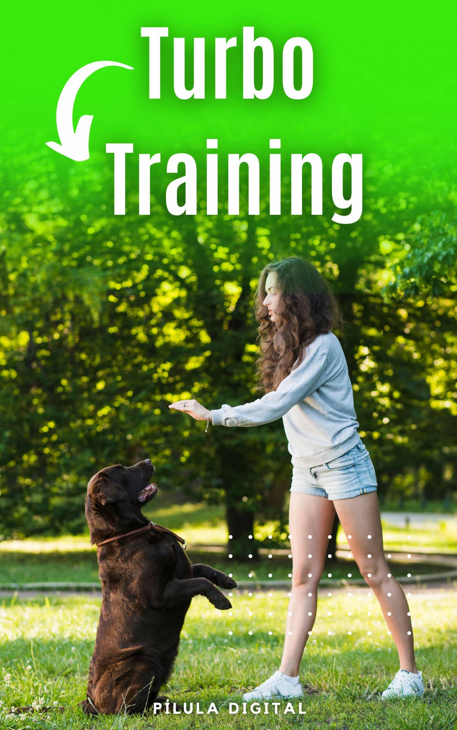 This image is the cover for the book Turbo Training