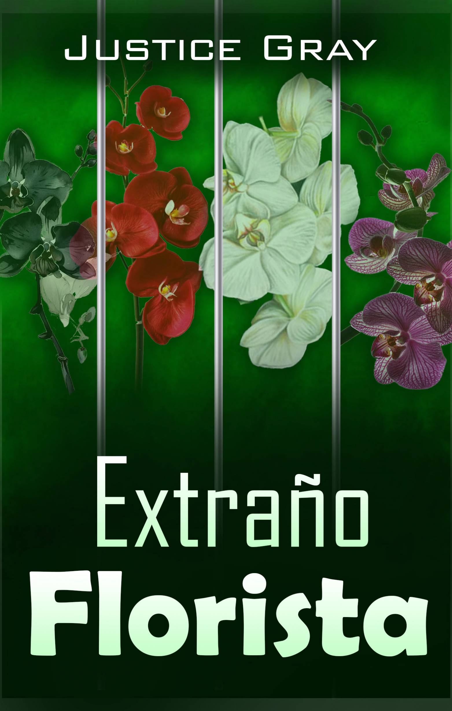 This image is the cover for the book Extraño Florista